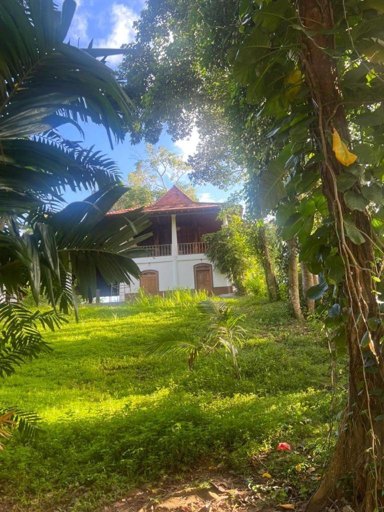 Soul Island Villa Galle view 5