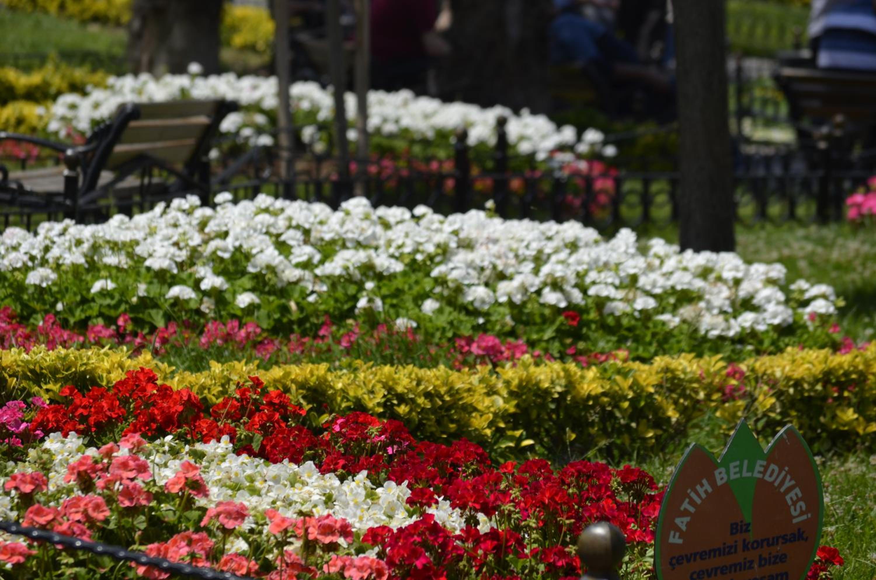 Ekol Otel - Image 15