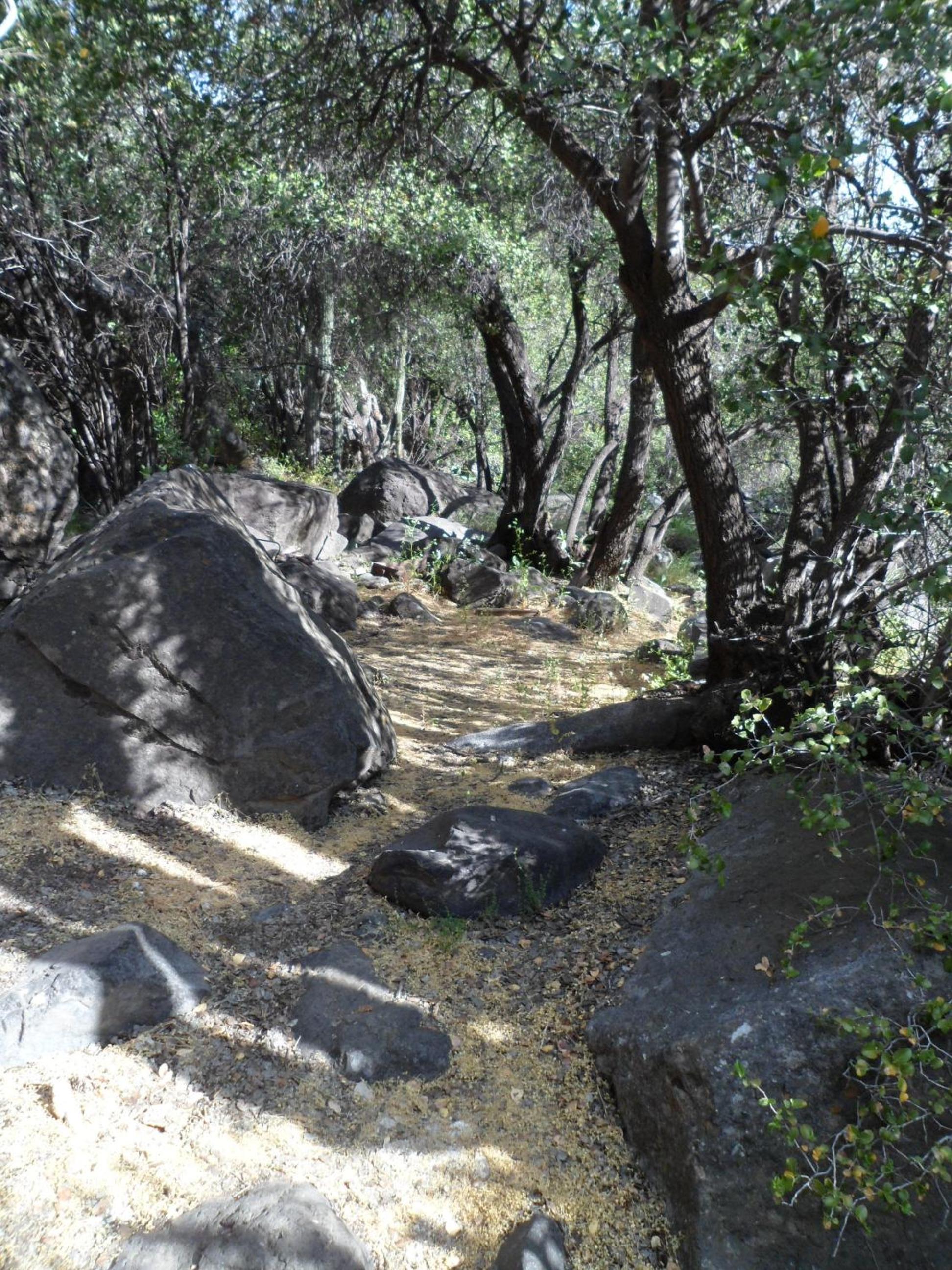 Cabañas de montaña