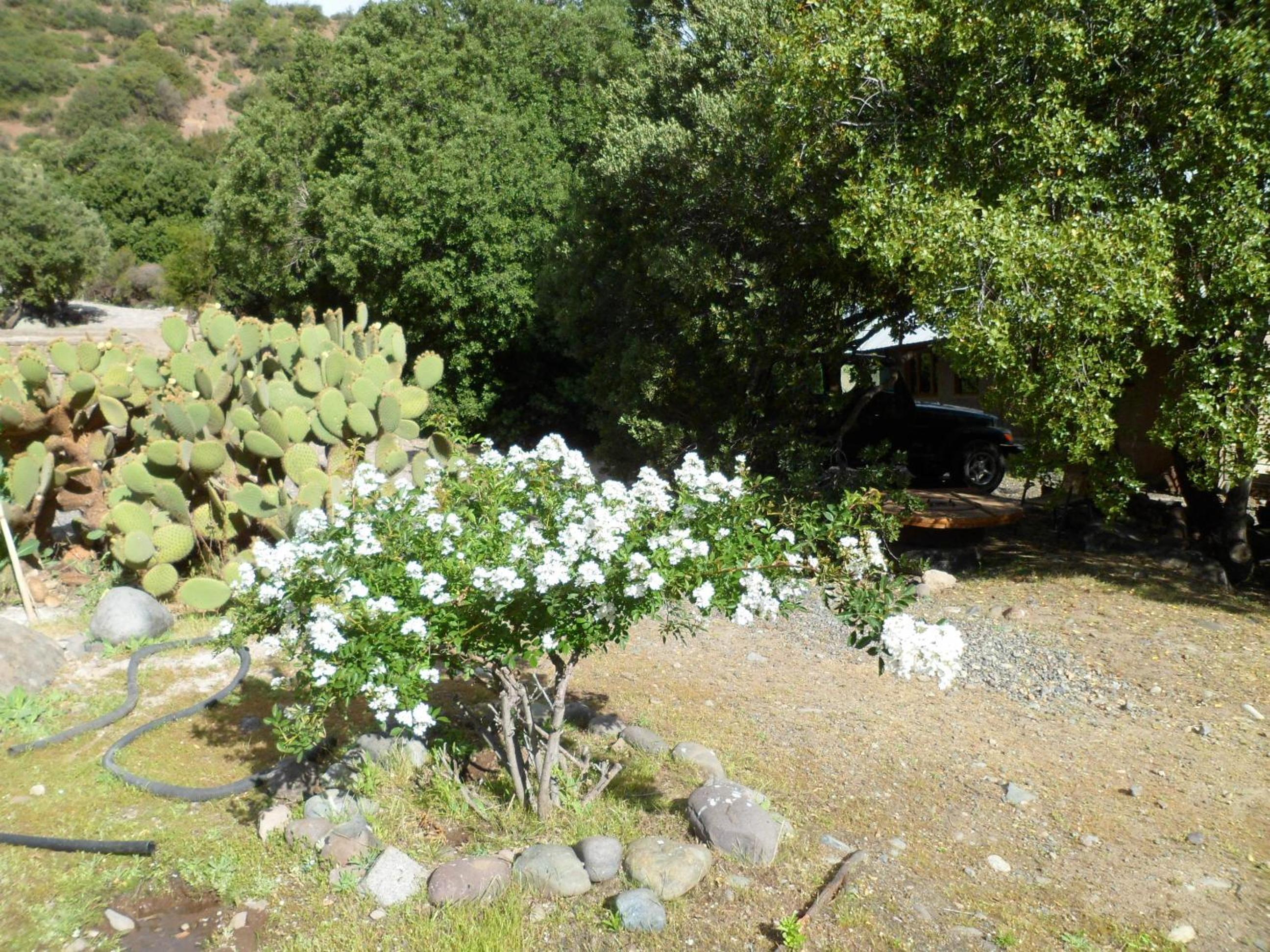 Cabañas de montaña