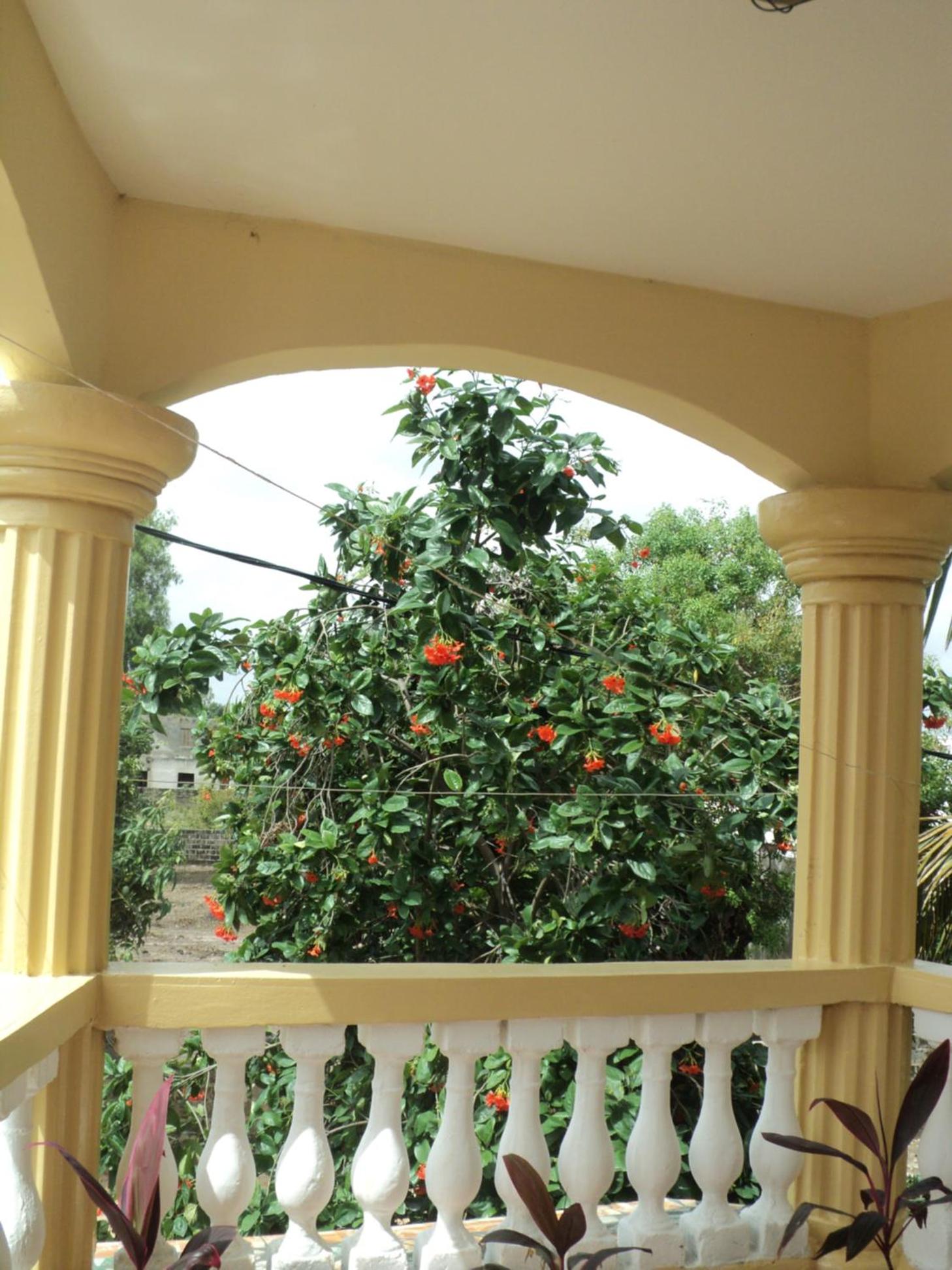 Fayes Apartments