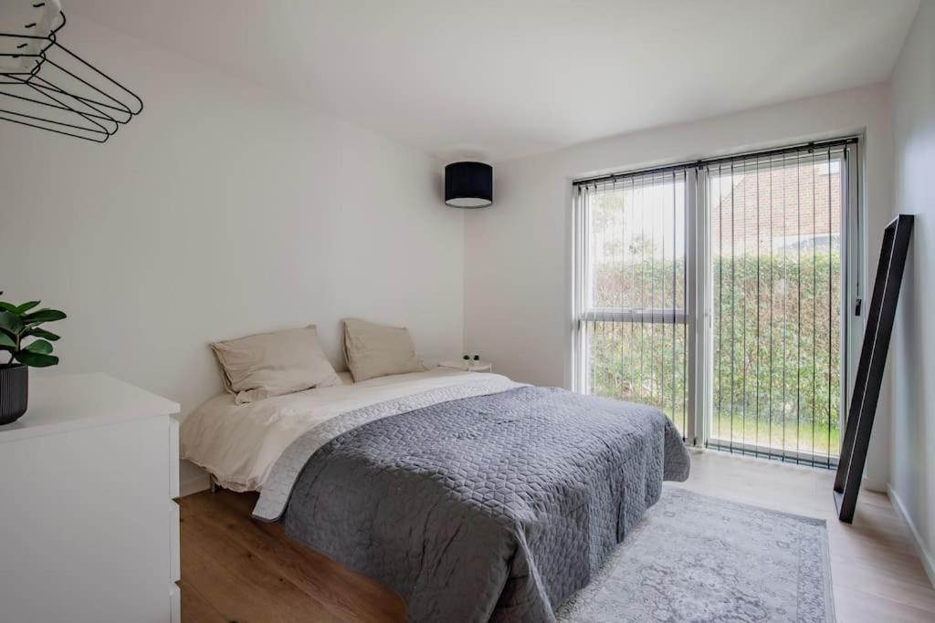 Spacious family house