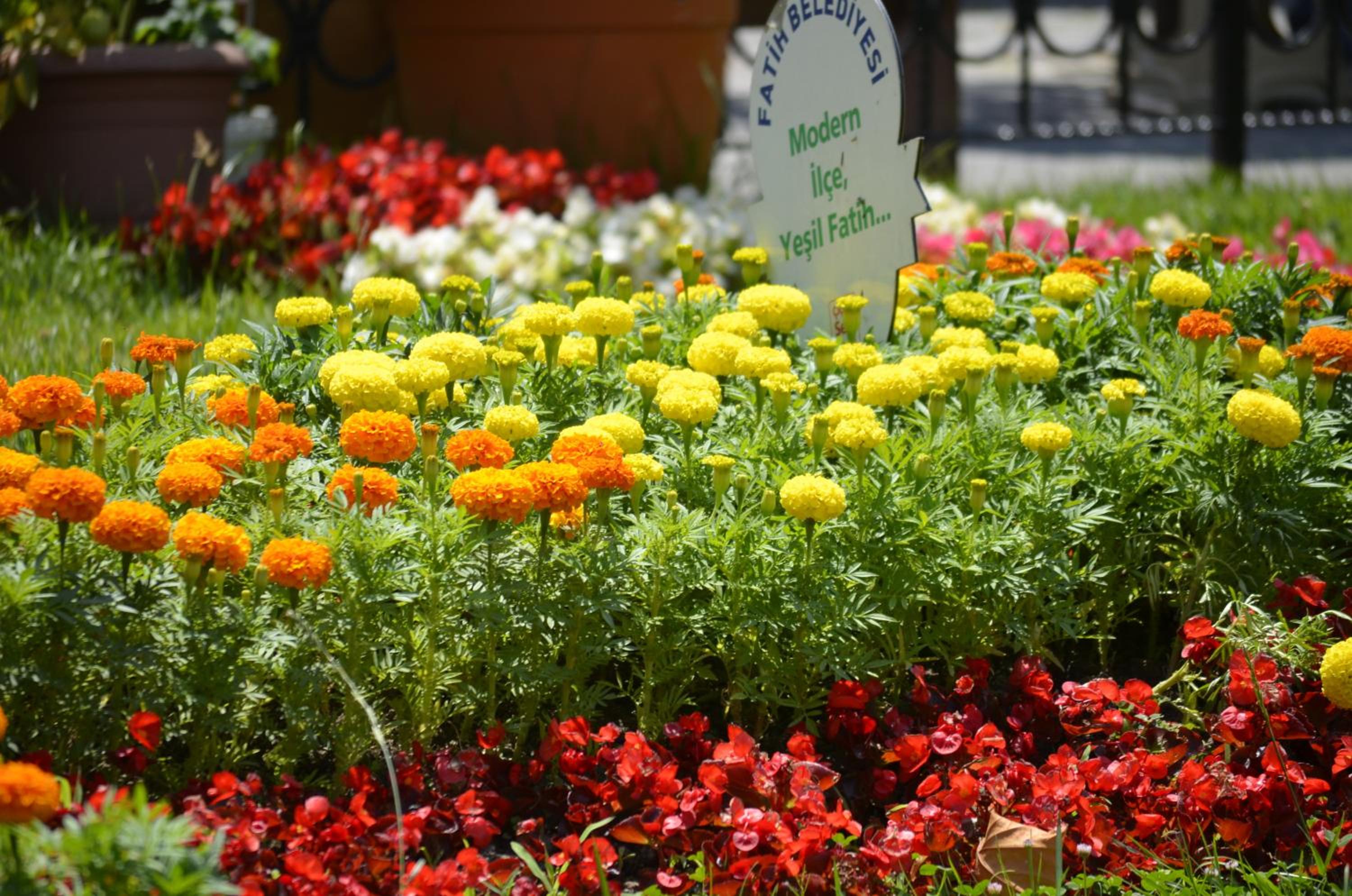 Ekol Otel - Image 127