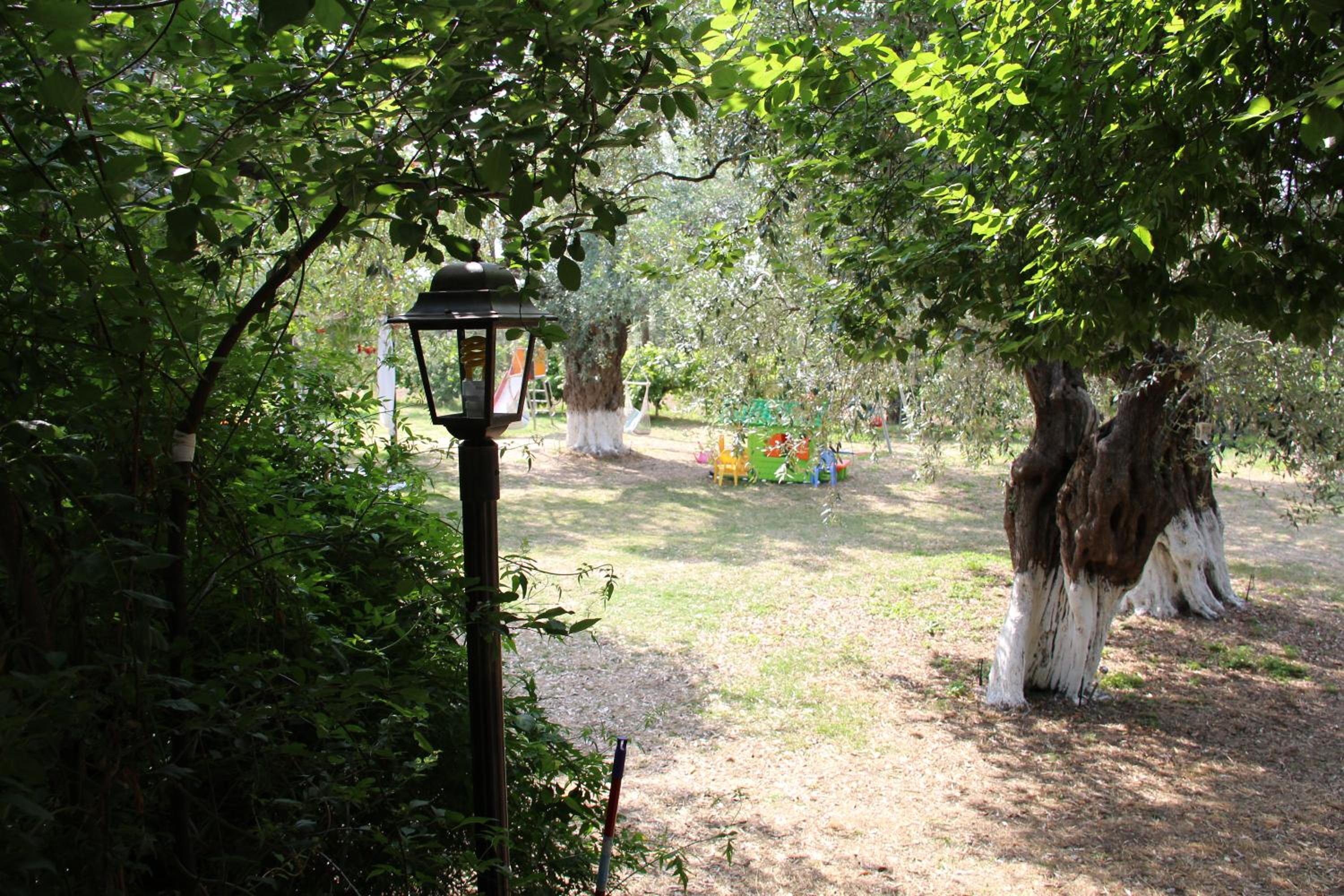 Photo 40