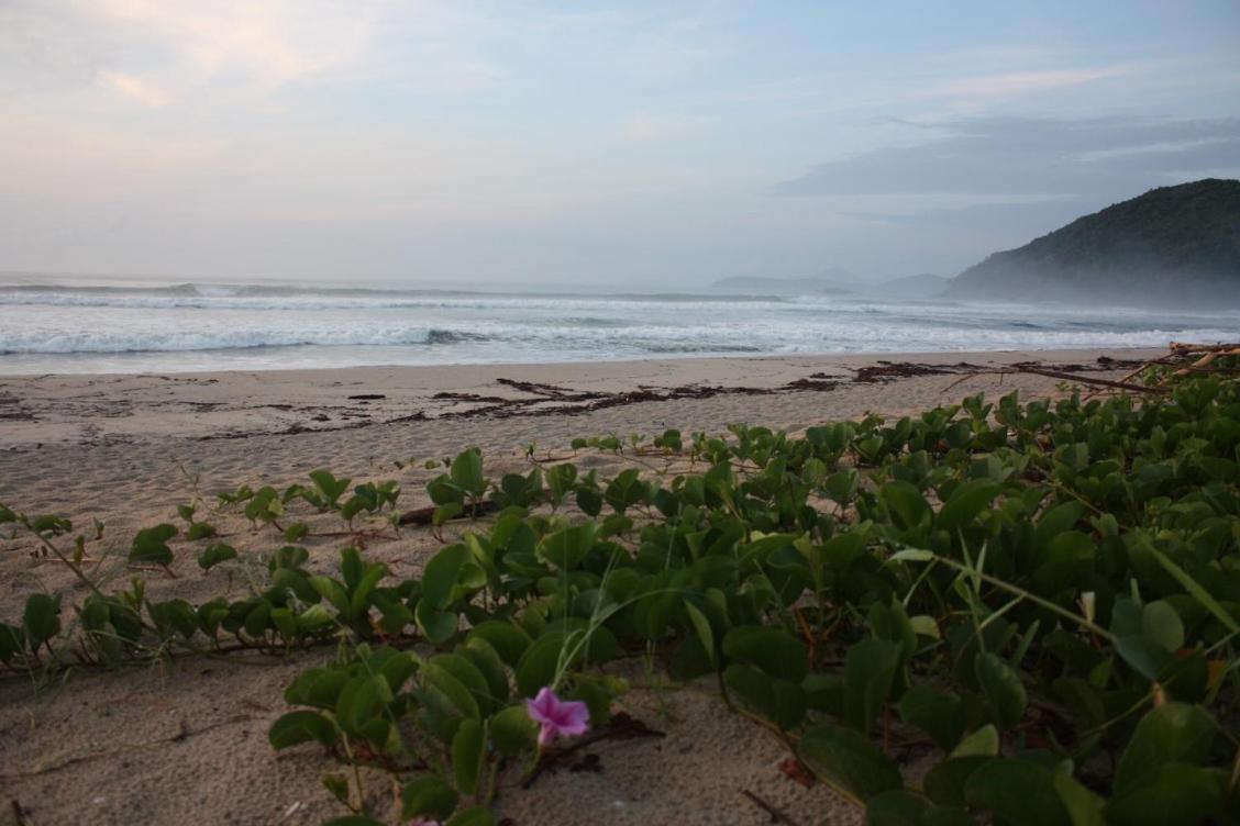 Maloquinha Itamambuca. A mais charmosa de Ubatuba.