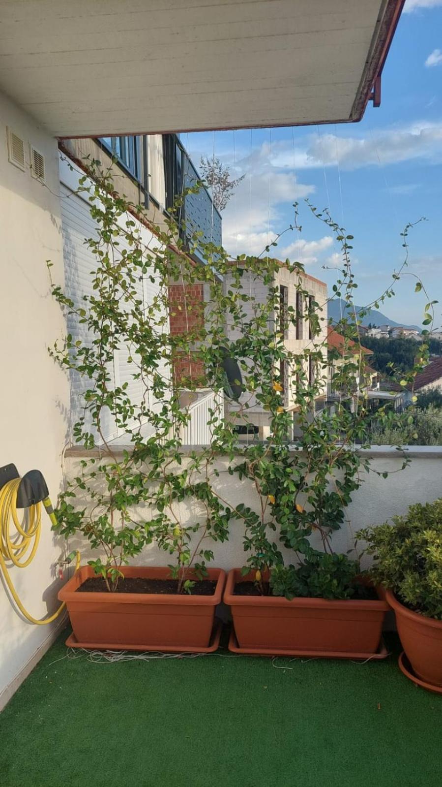 SUNNY HOUSE view 2
