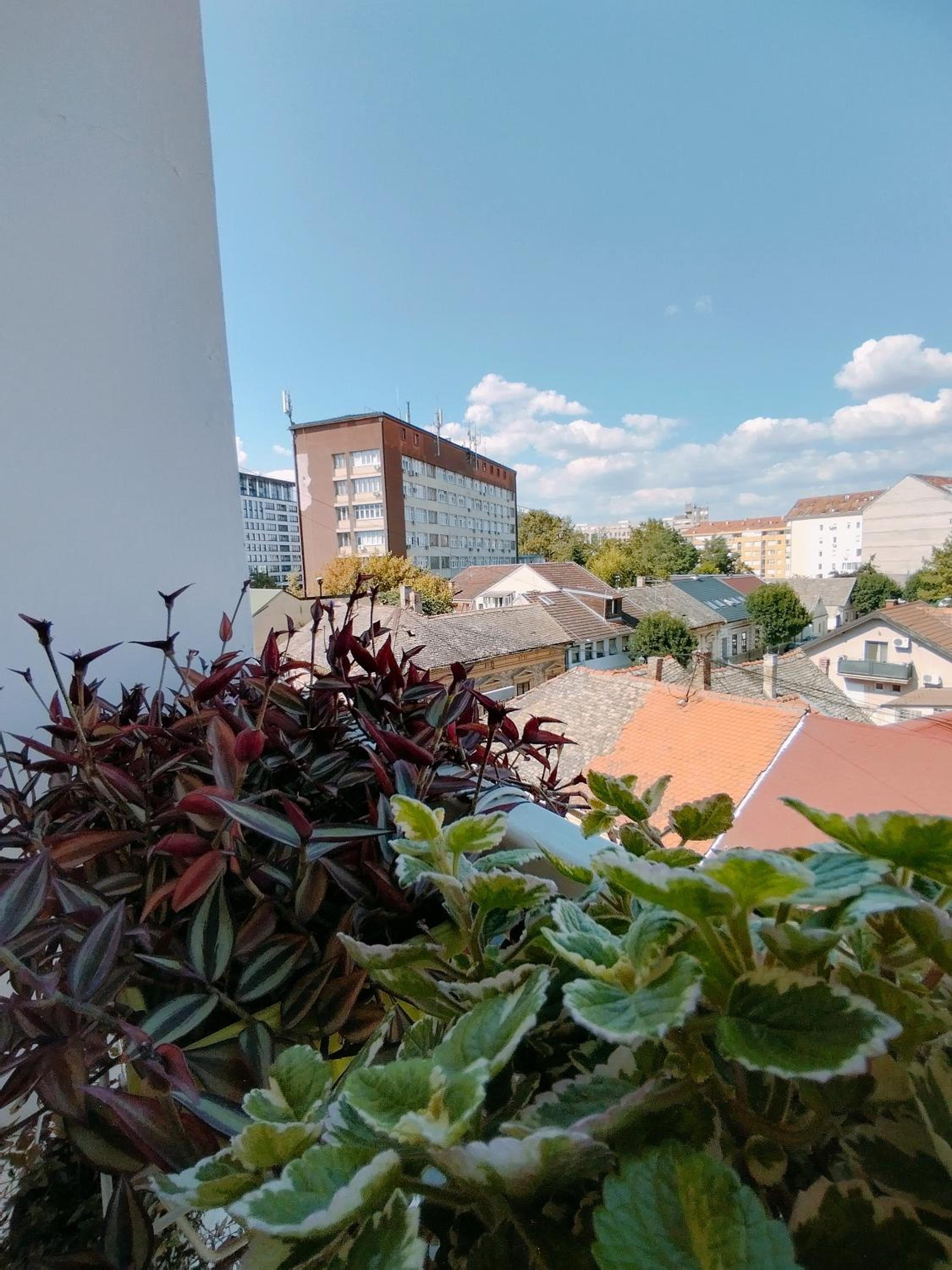 Apartman Vladimir