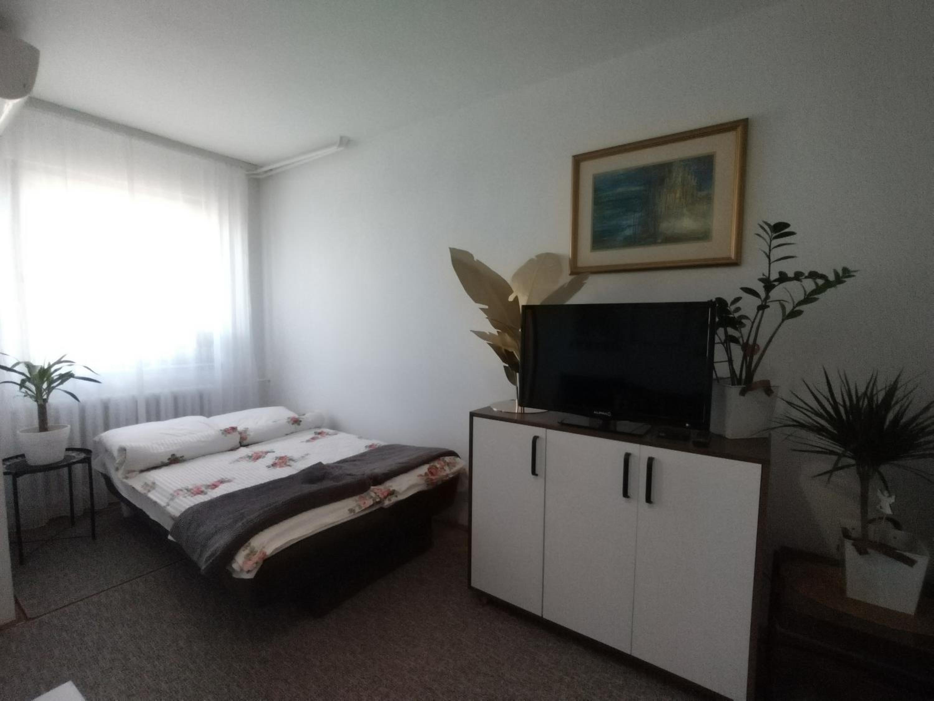 Apartman Vladimir