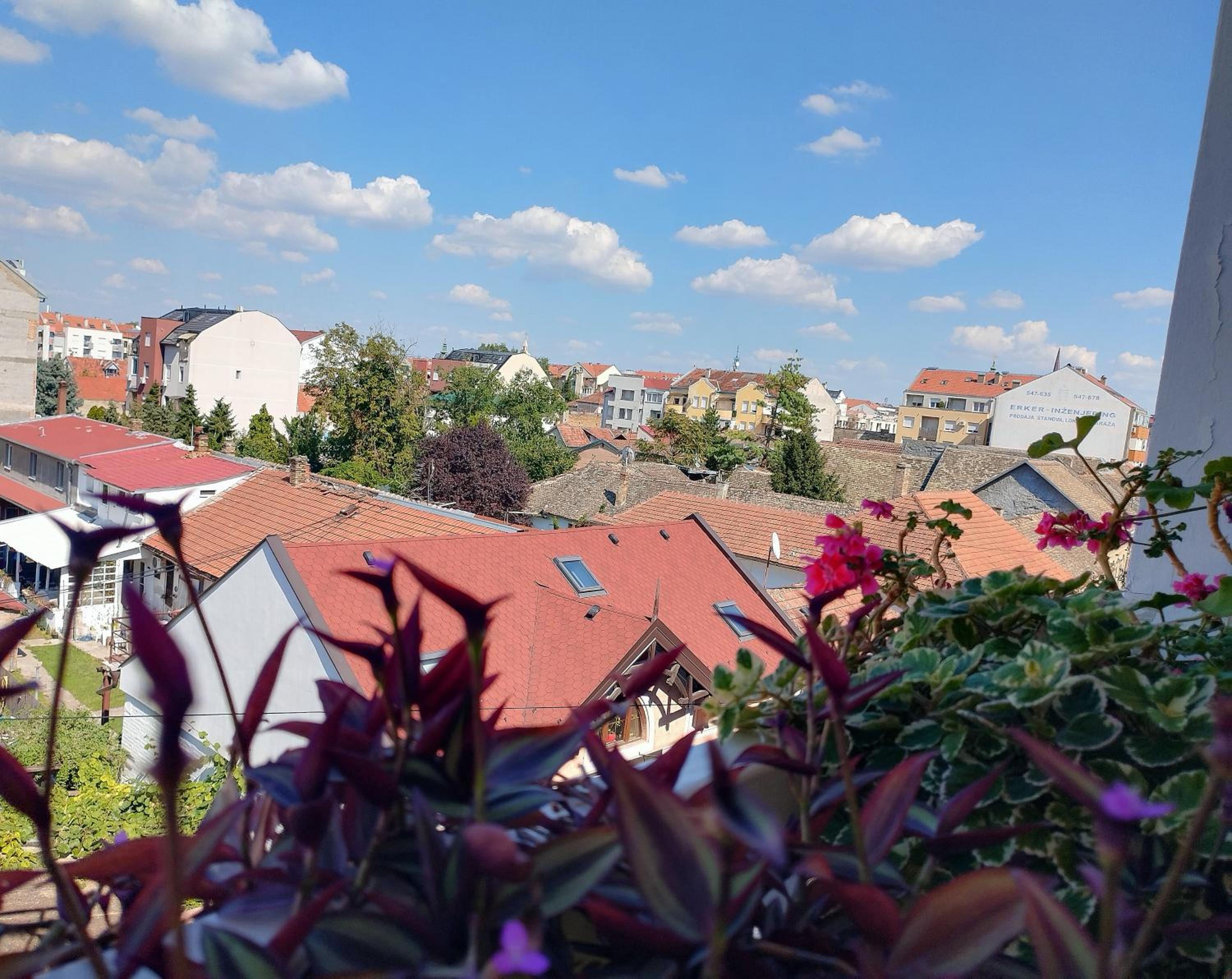 Apartman Vladimir