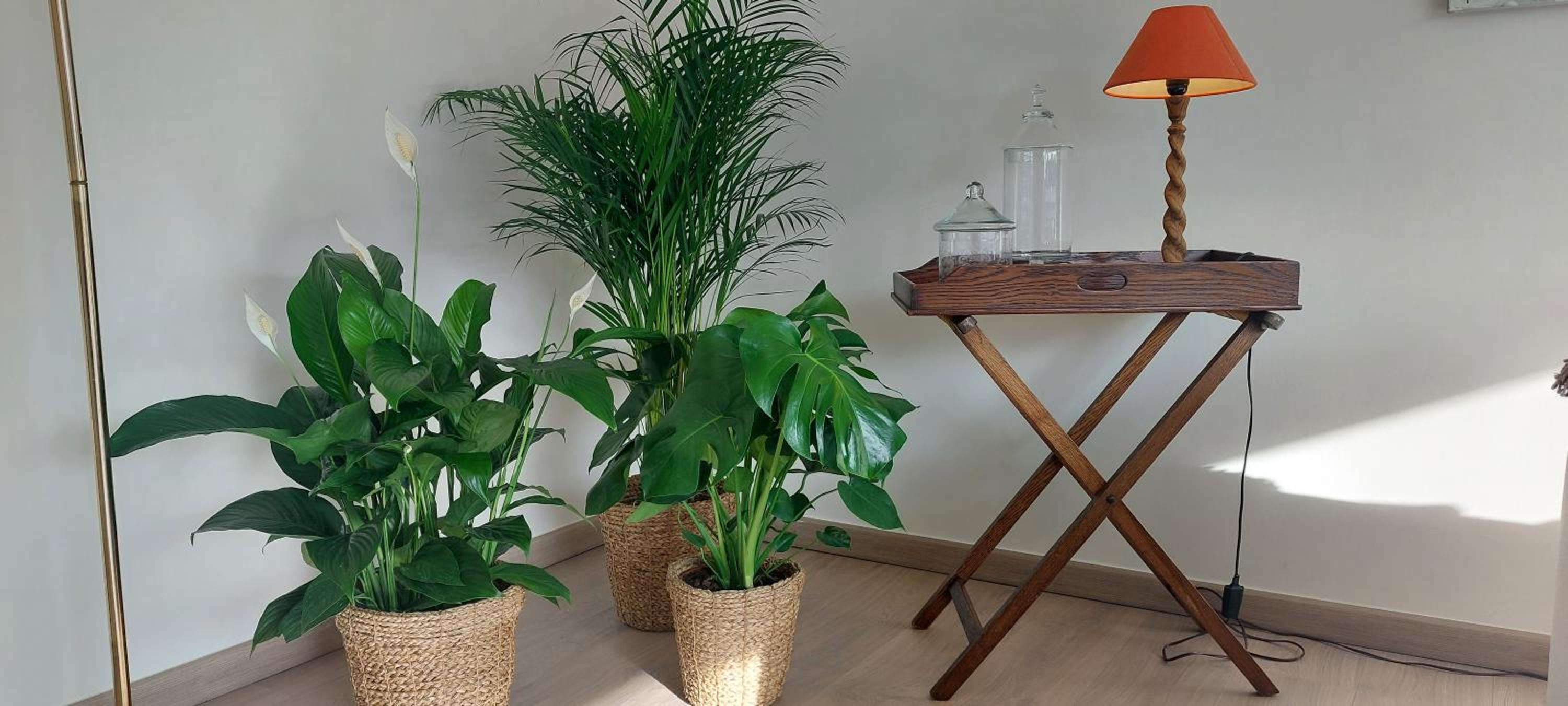 Cosy Cottage Knokke