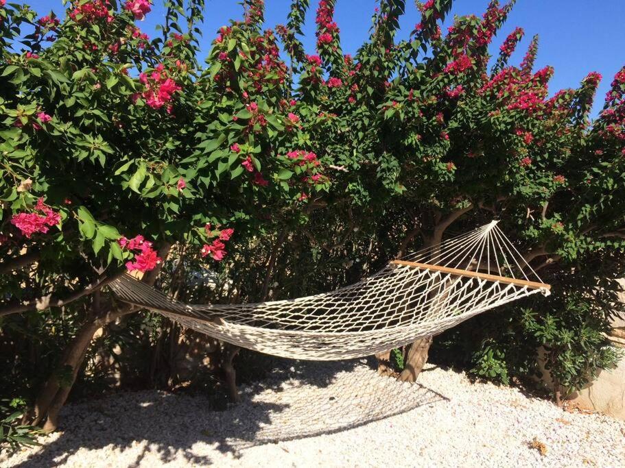 LETIHOME Paros