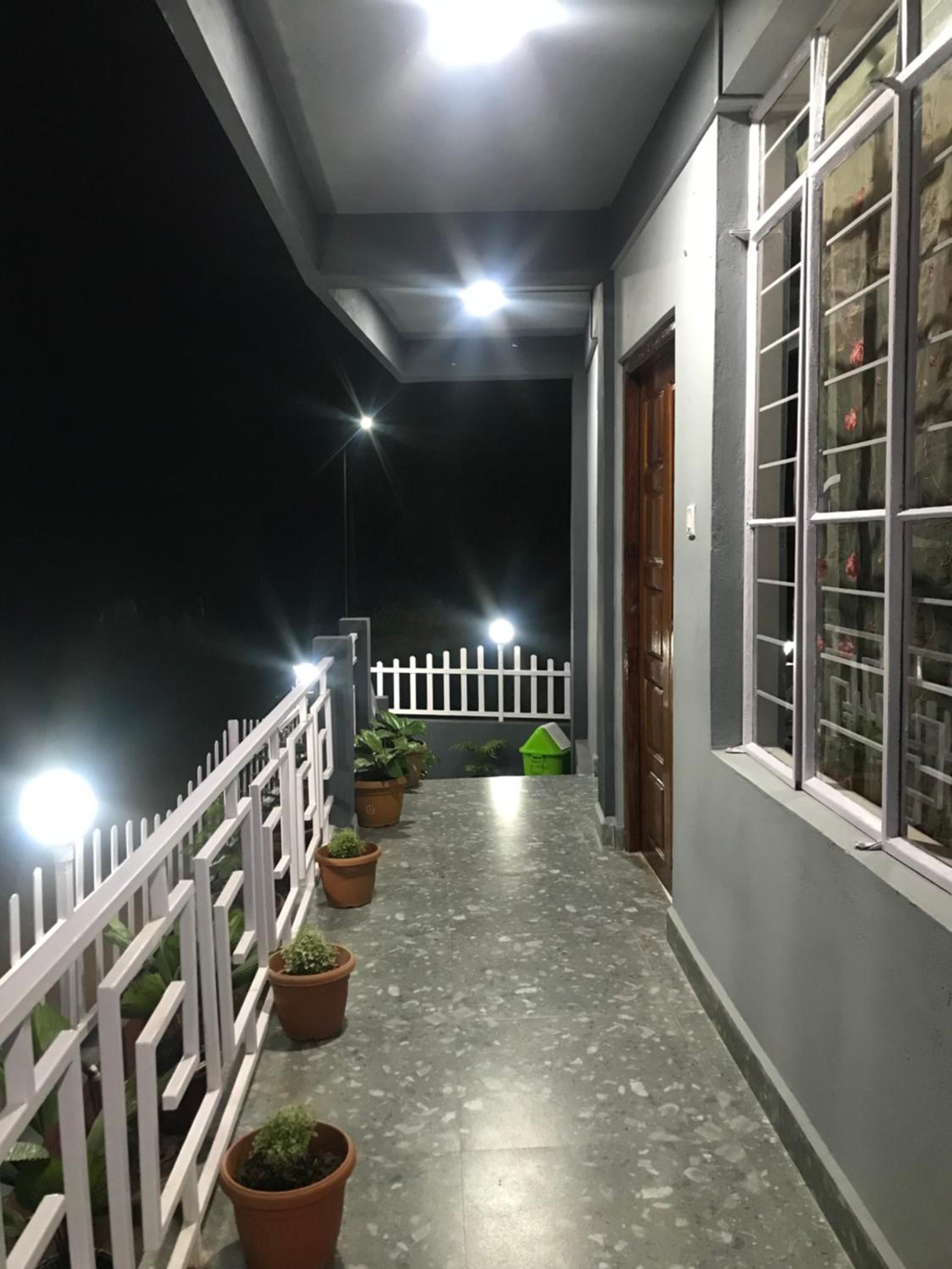 Living Roots Lodge