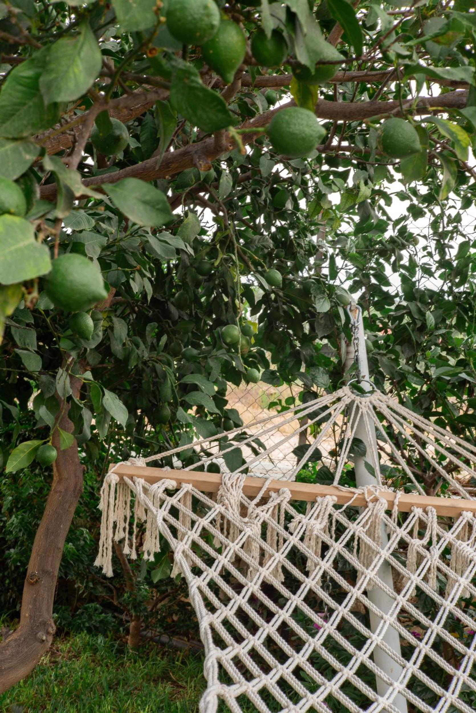 Masal Evimiz - Image 21