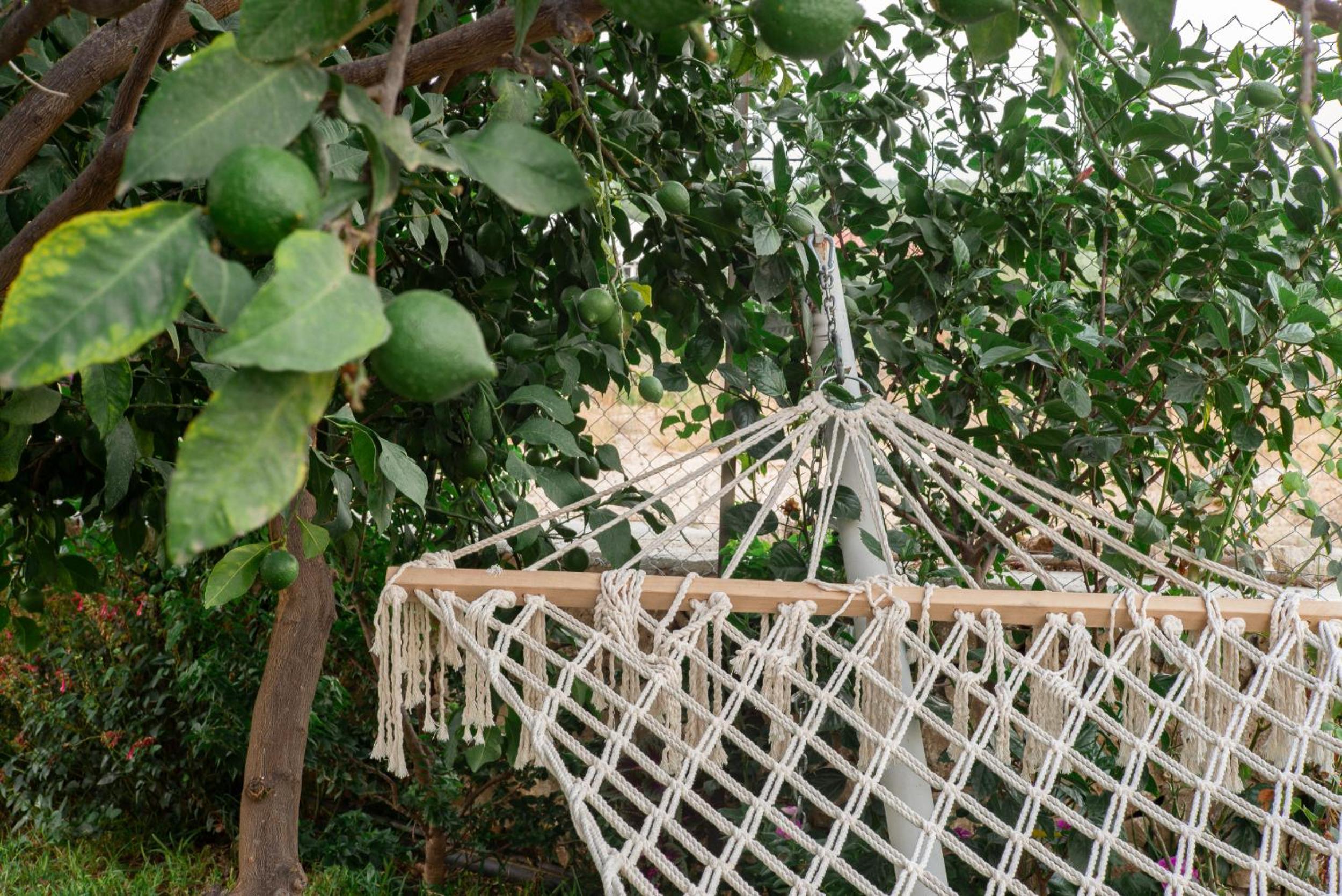 Masal Evimiz - Image 22