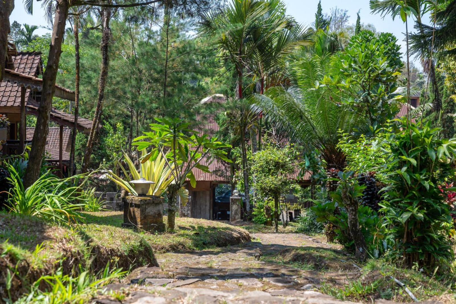 idjen Resto & Guest House view 5