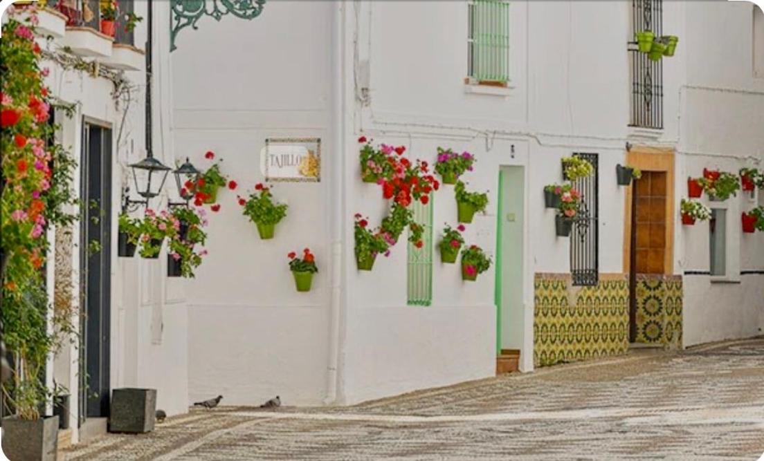 Apartamento E&D