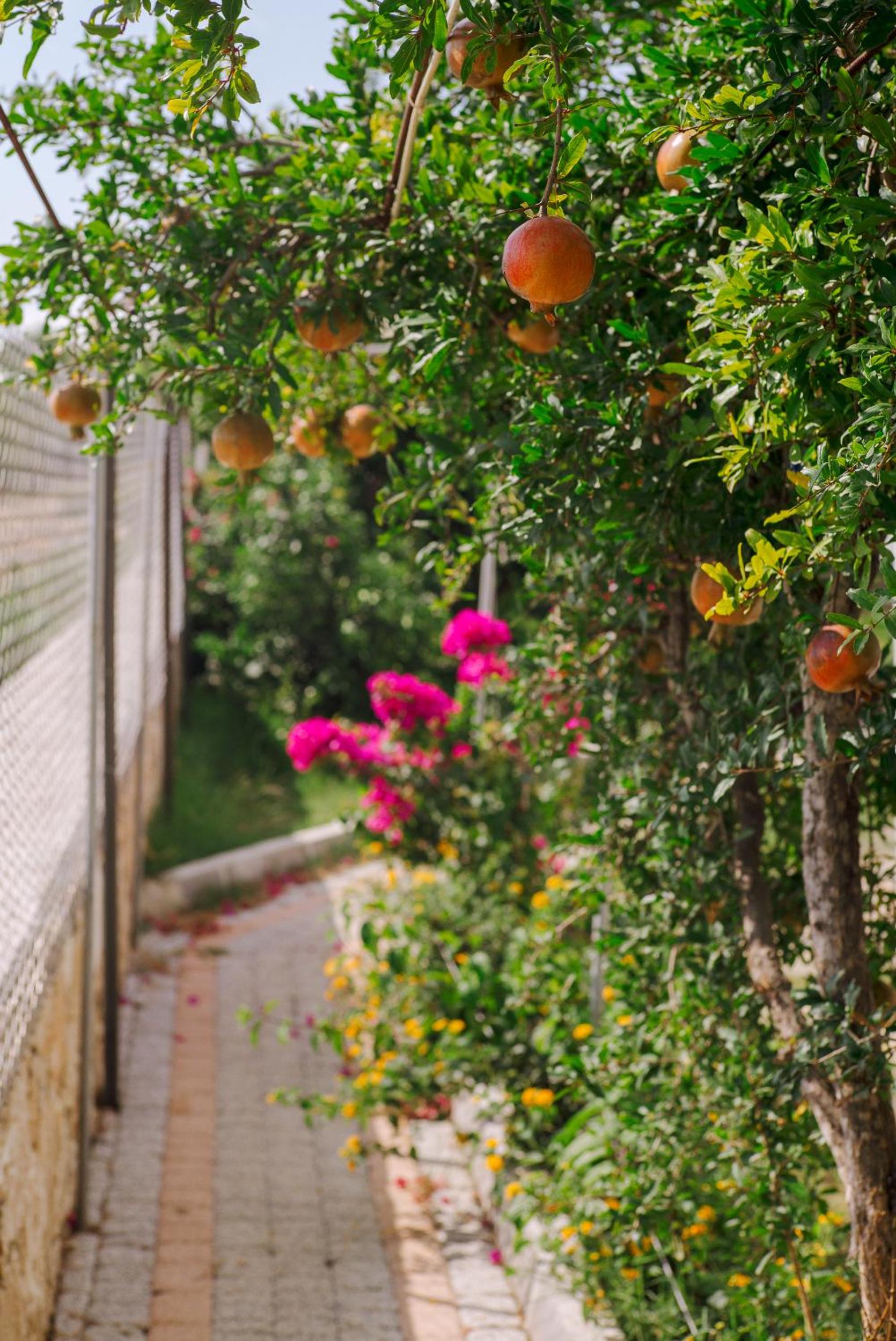 Masal Evimiz - Image 122