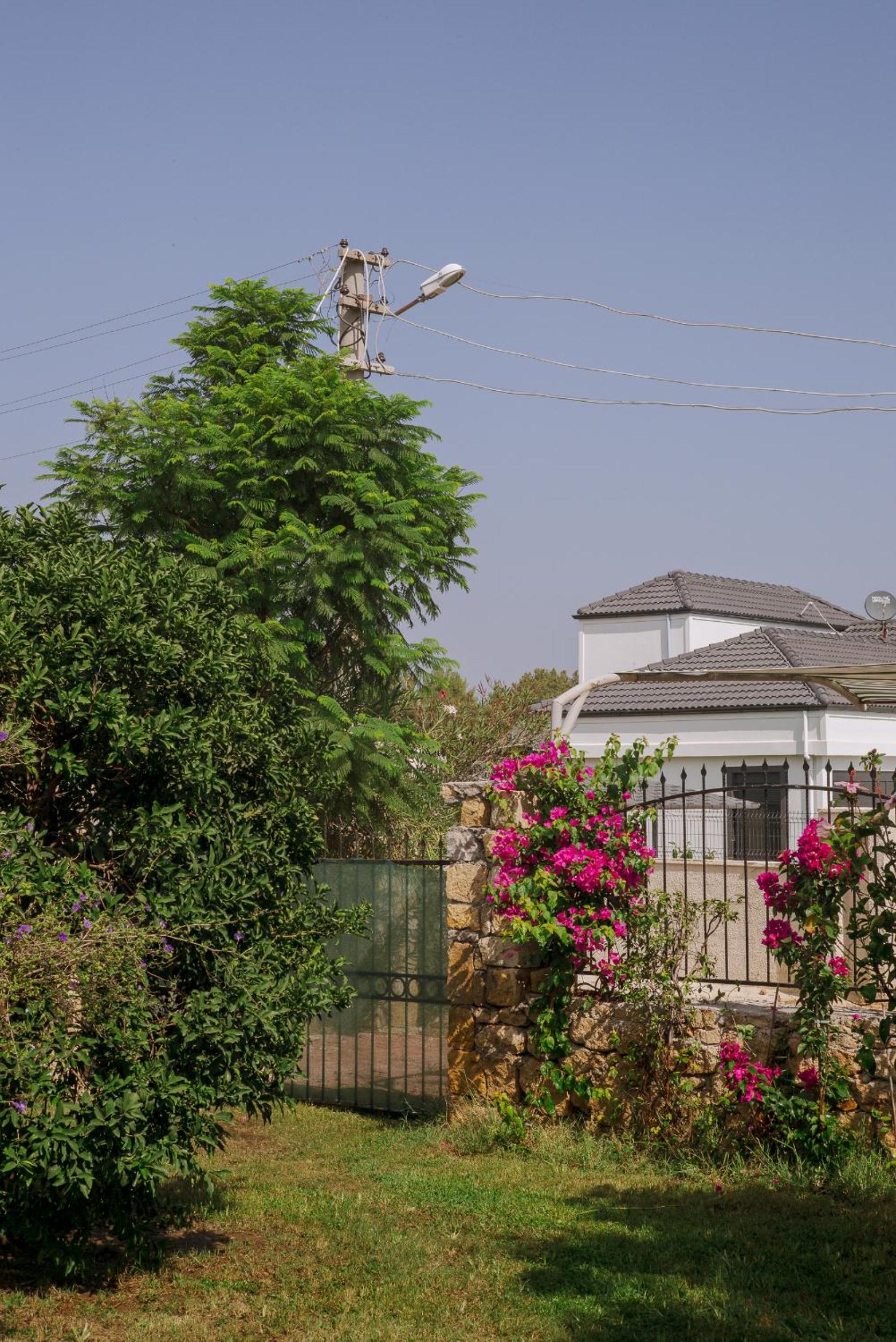 Masal Evimiz - Image 121