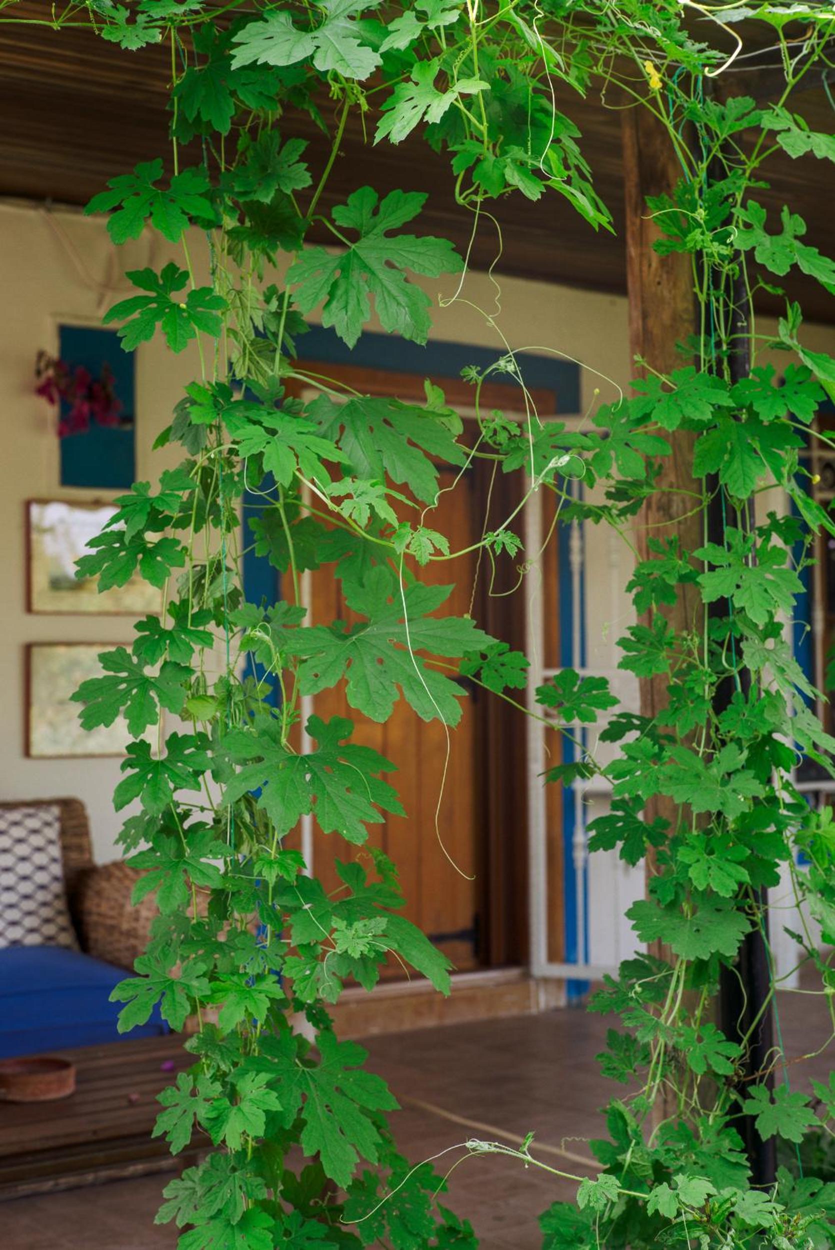 Masal Evimiz - Image 120