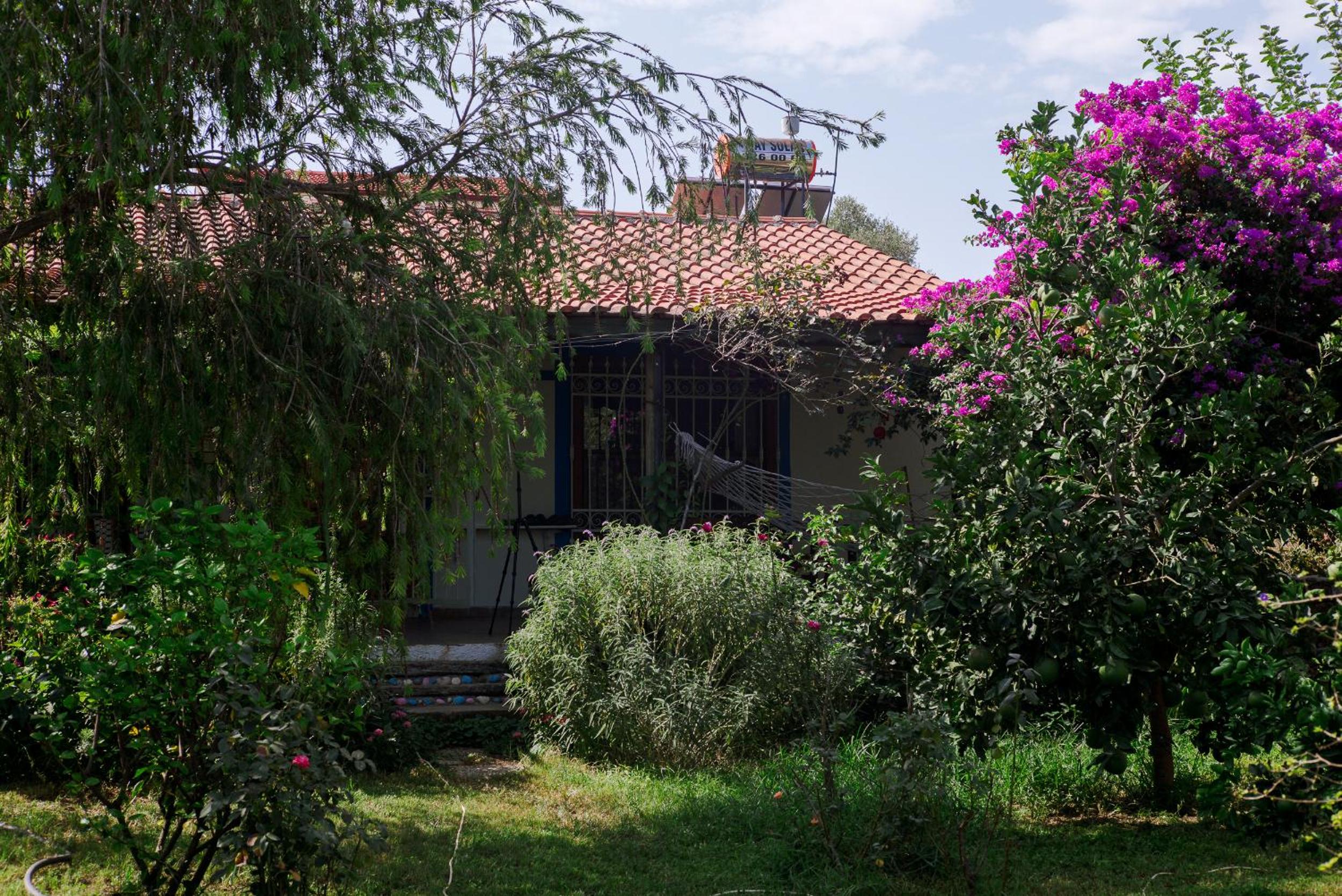 Masal Evimiz - Image 7