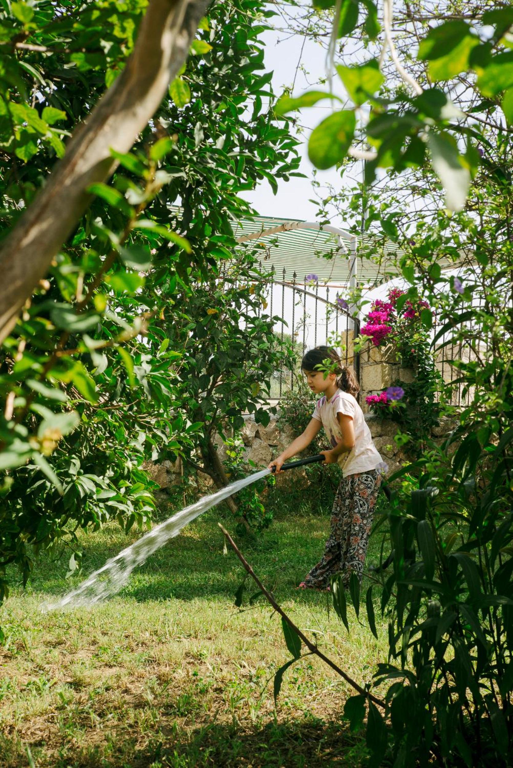 Masal Evimiz - Image 5