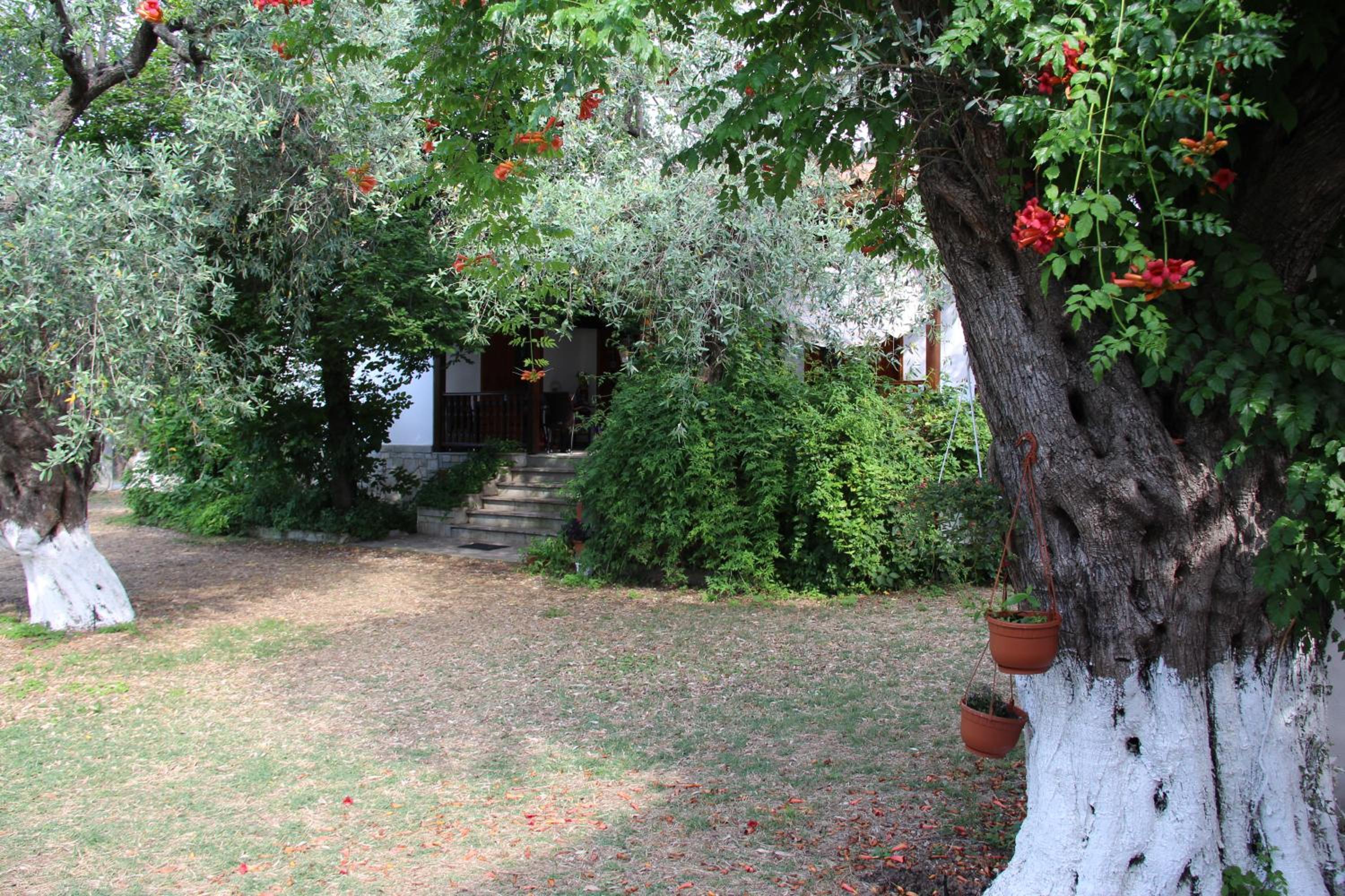 Photo 54