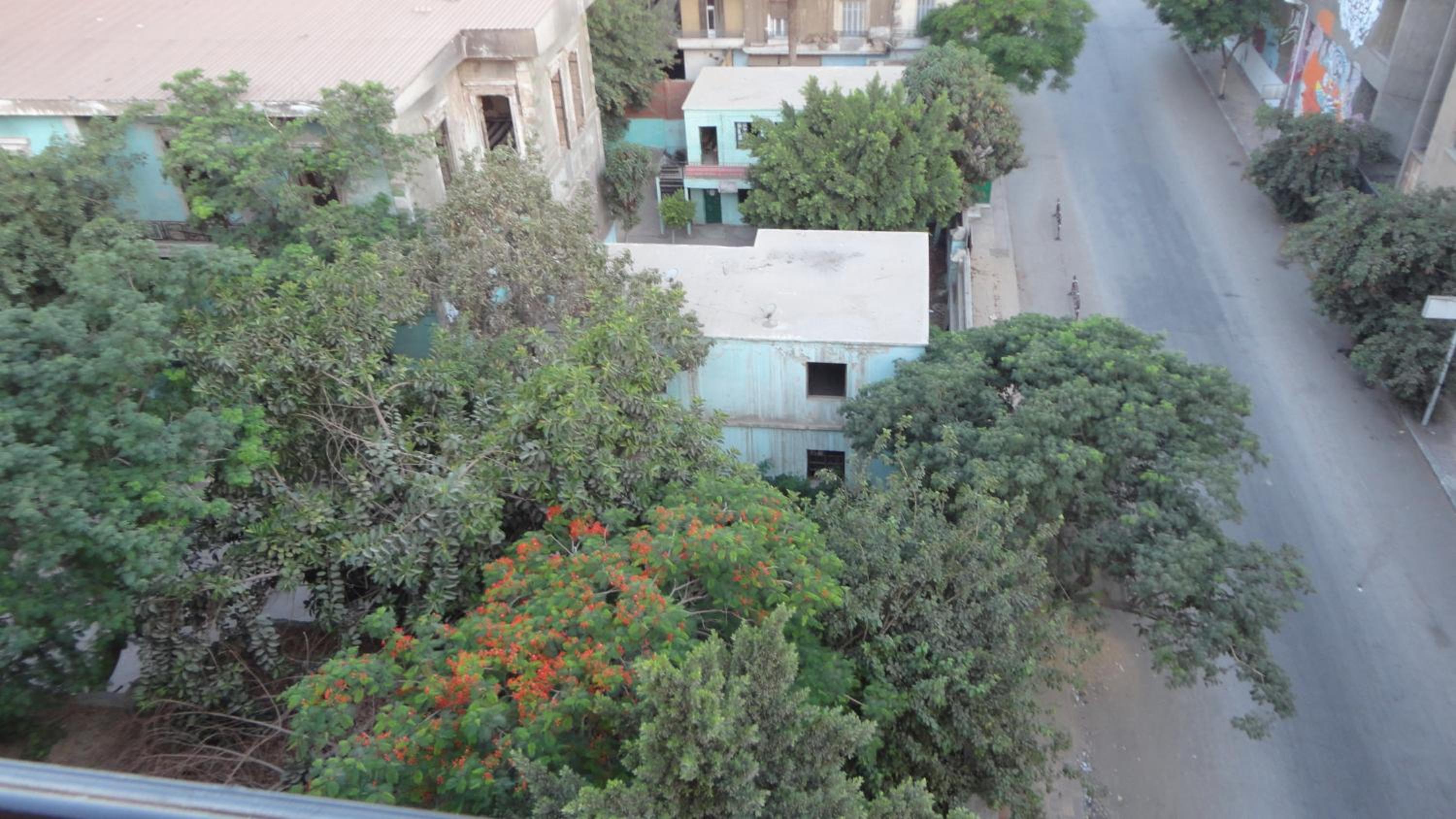 Cecilia Hostel