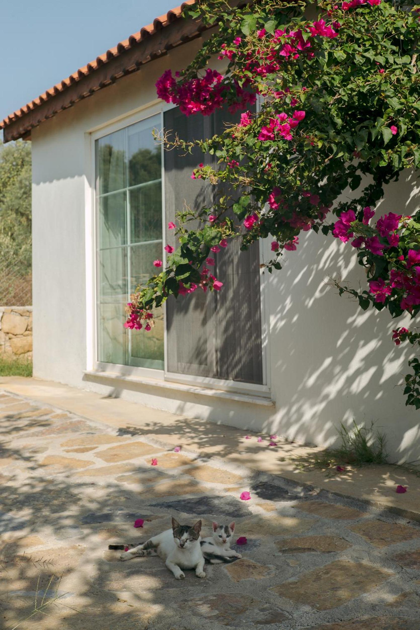 Masal Evimiz - Image 126