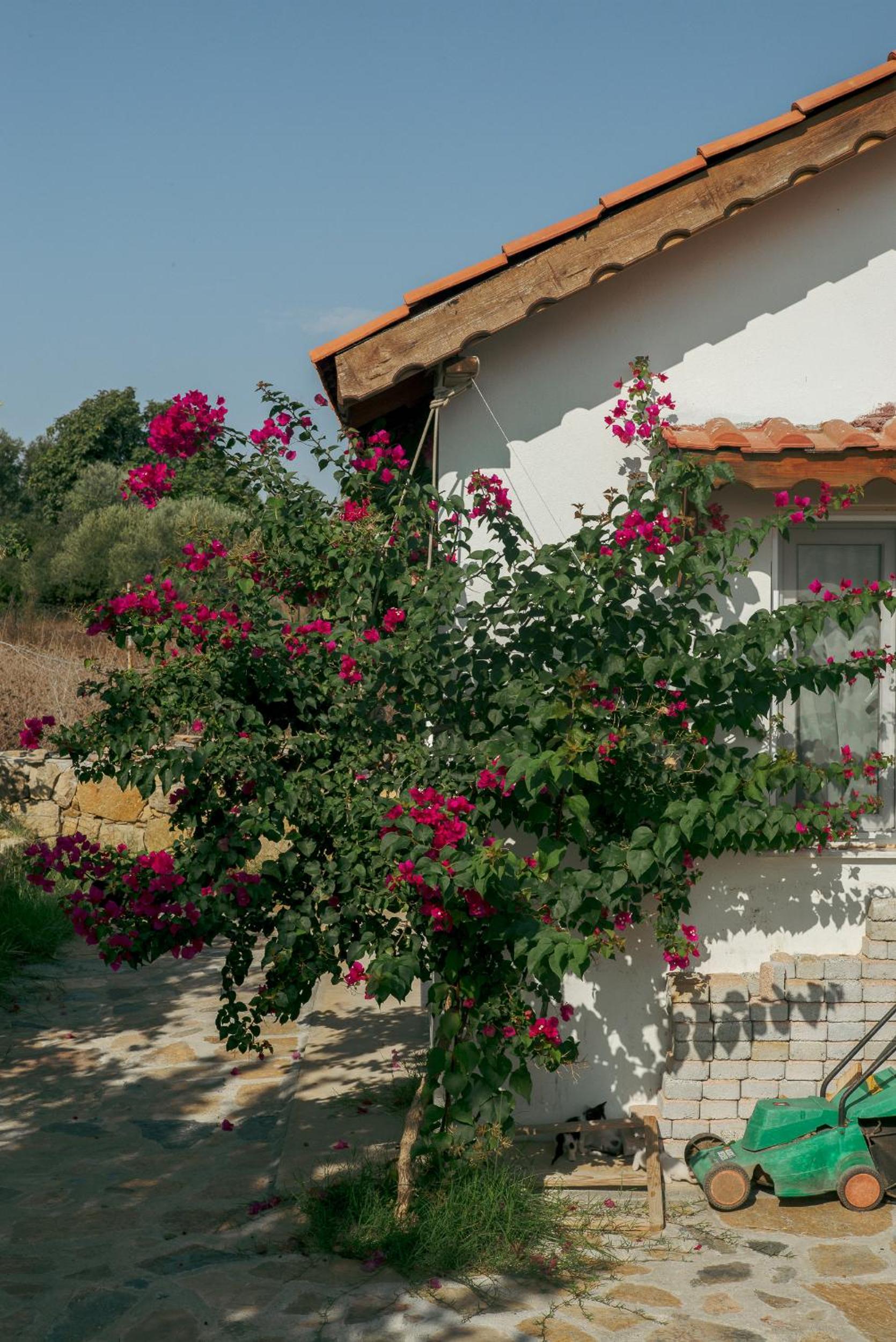 Masal Evimiz - Image 134