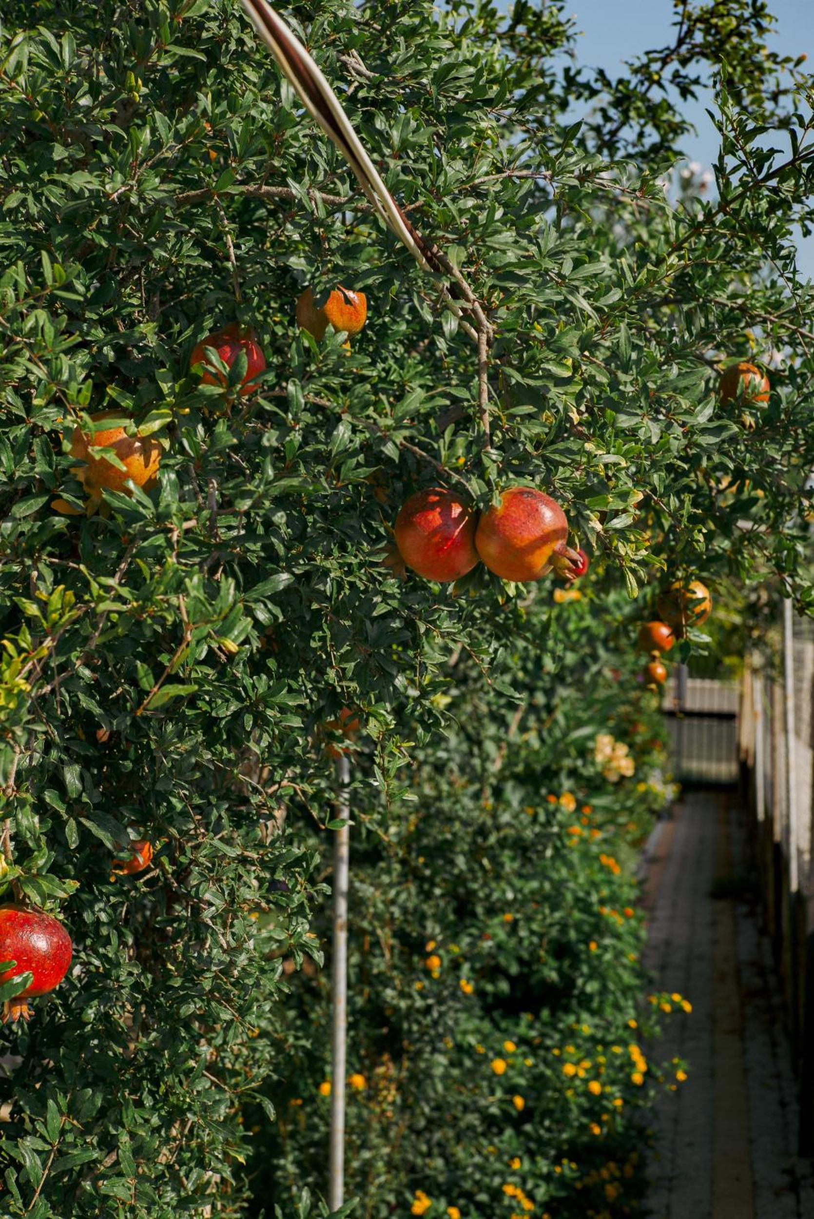 Masal Evimiz - Image 136