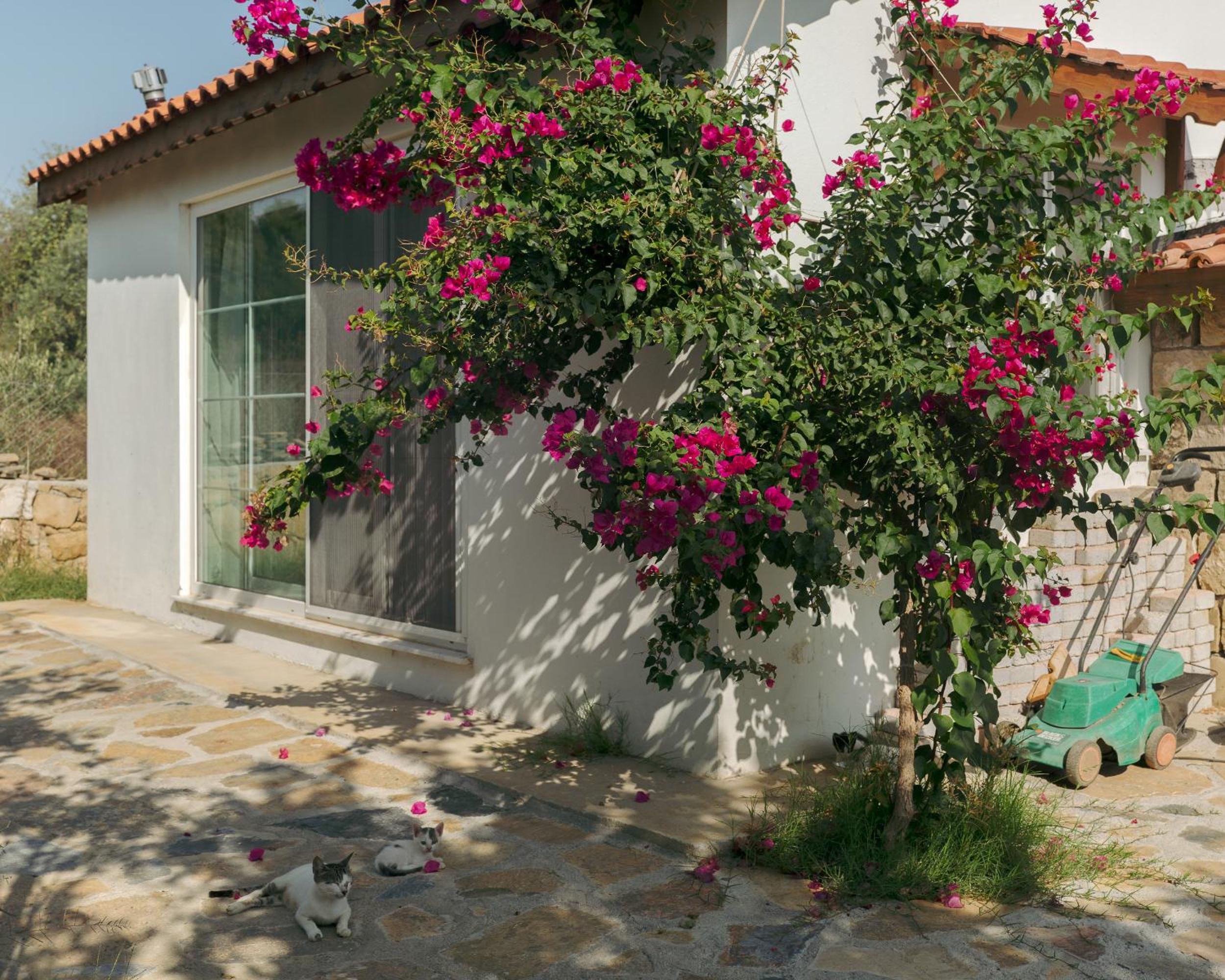 Masal Evimiz - Image 139