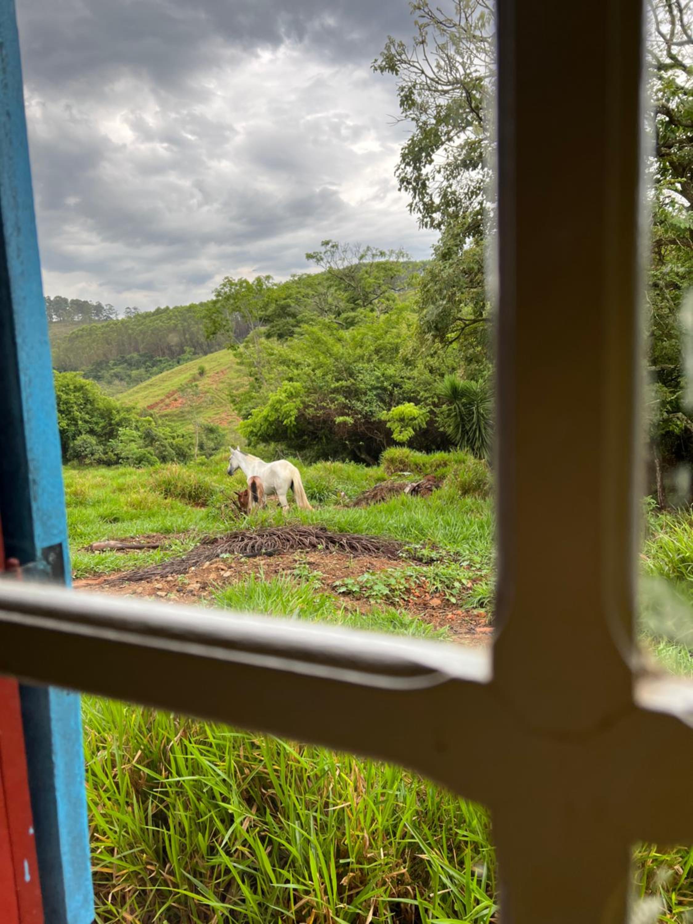 Fazenda do Engenho