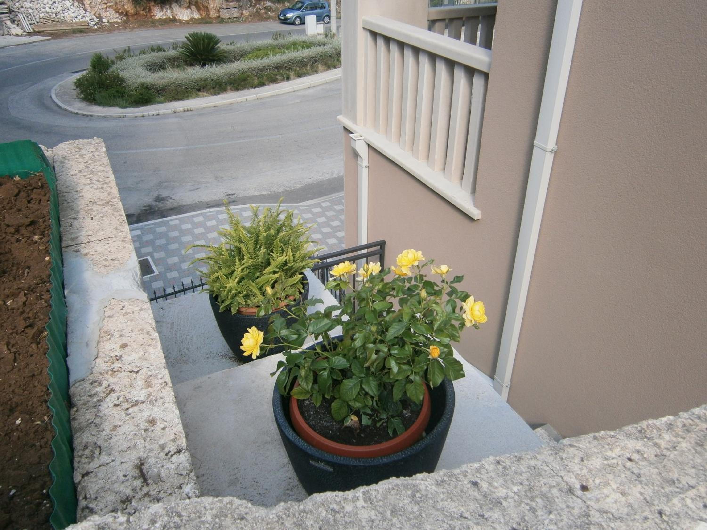Photo 51