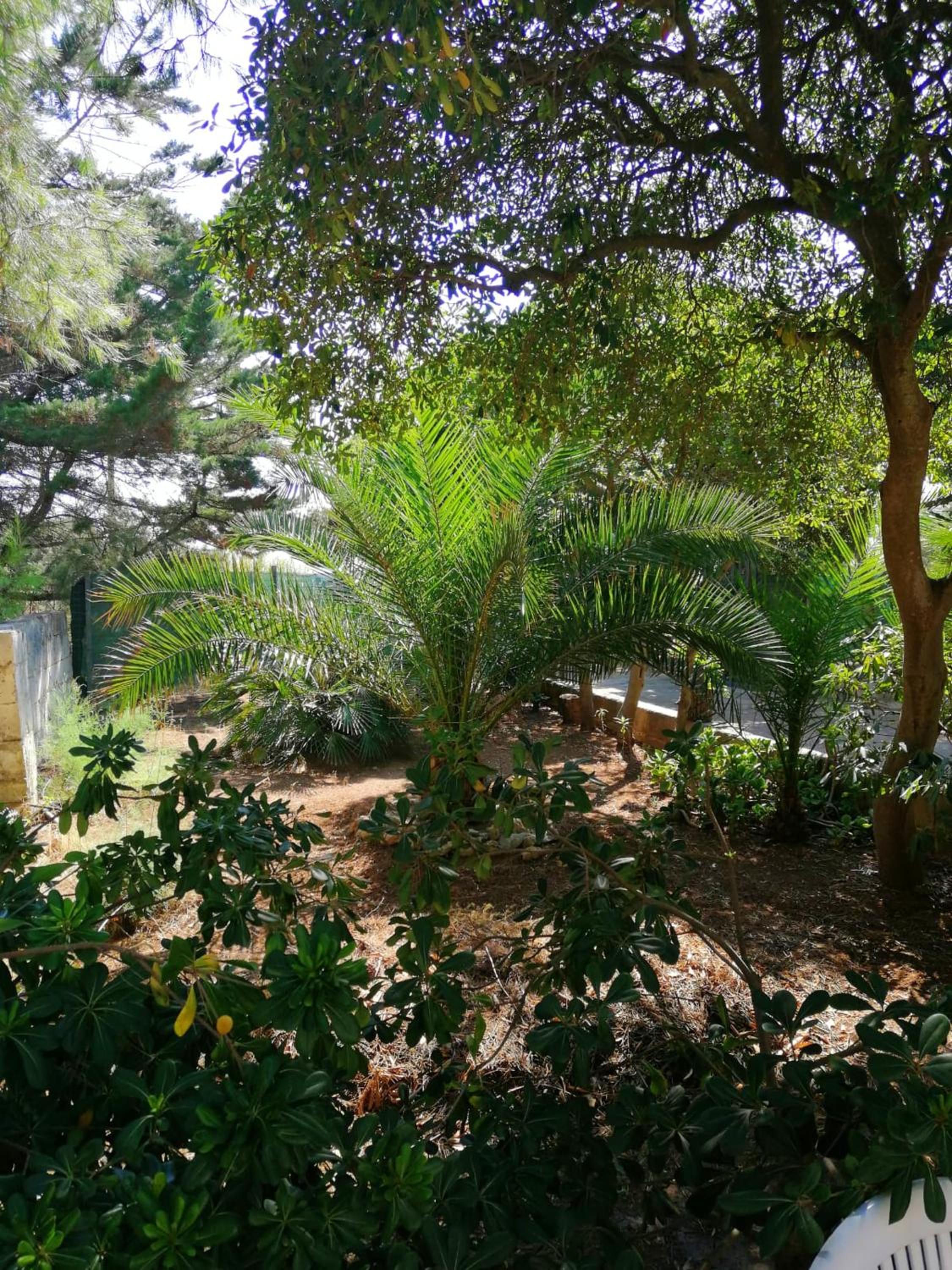 Charming house with terrace in Manduria