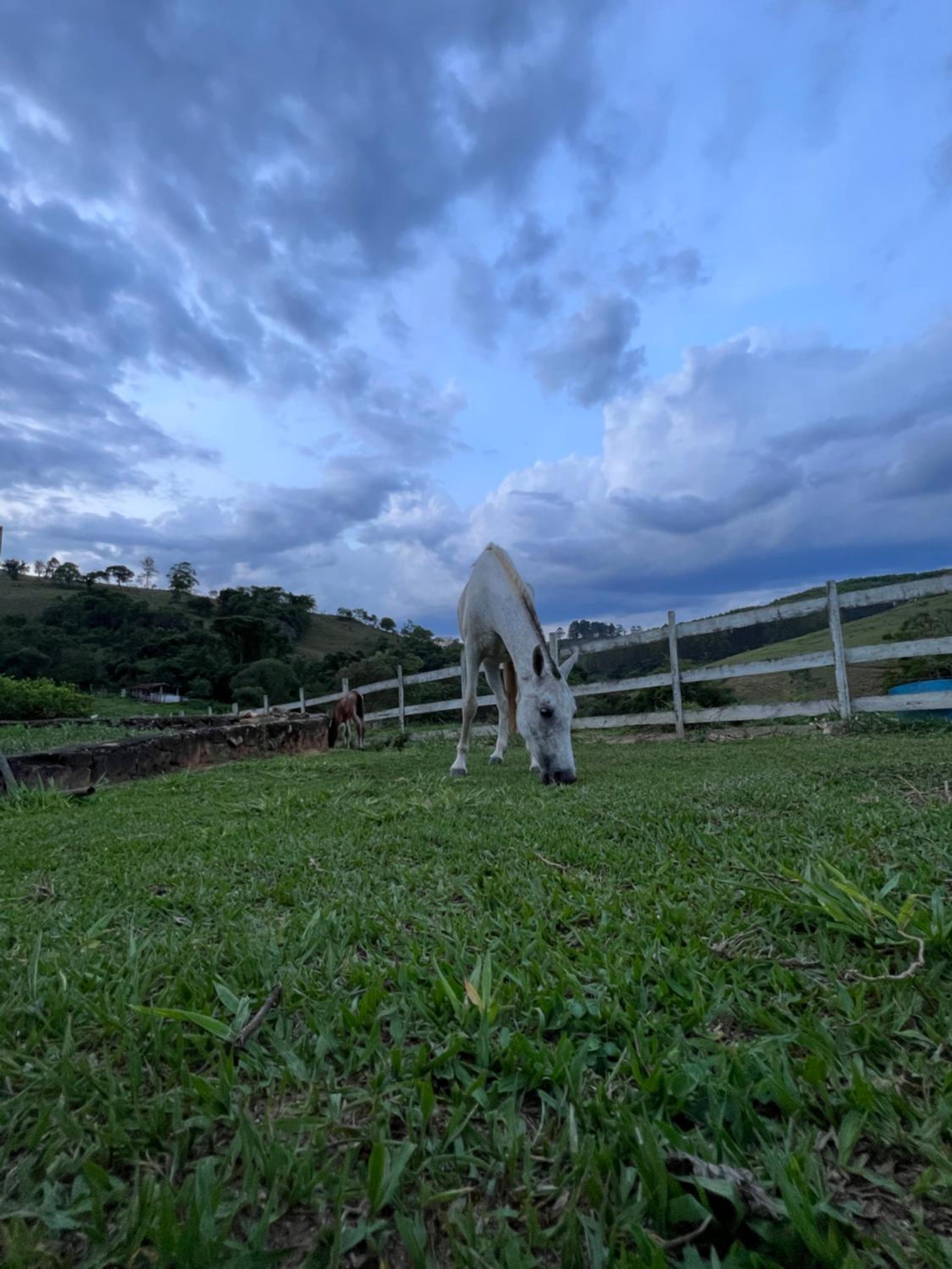 Fazenda do Engenho