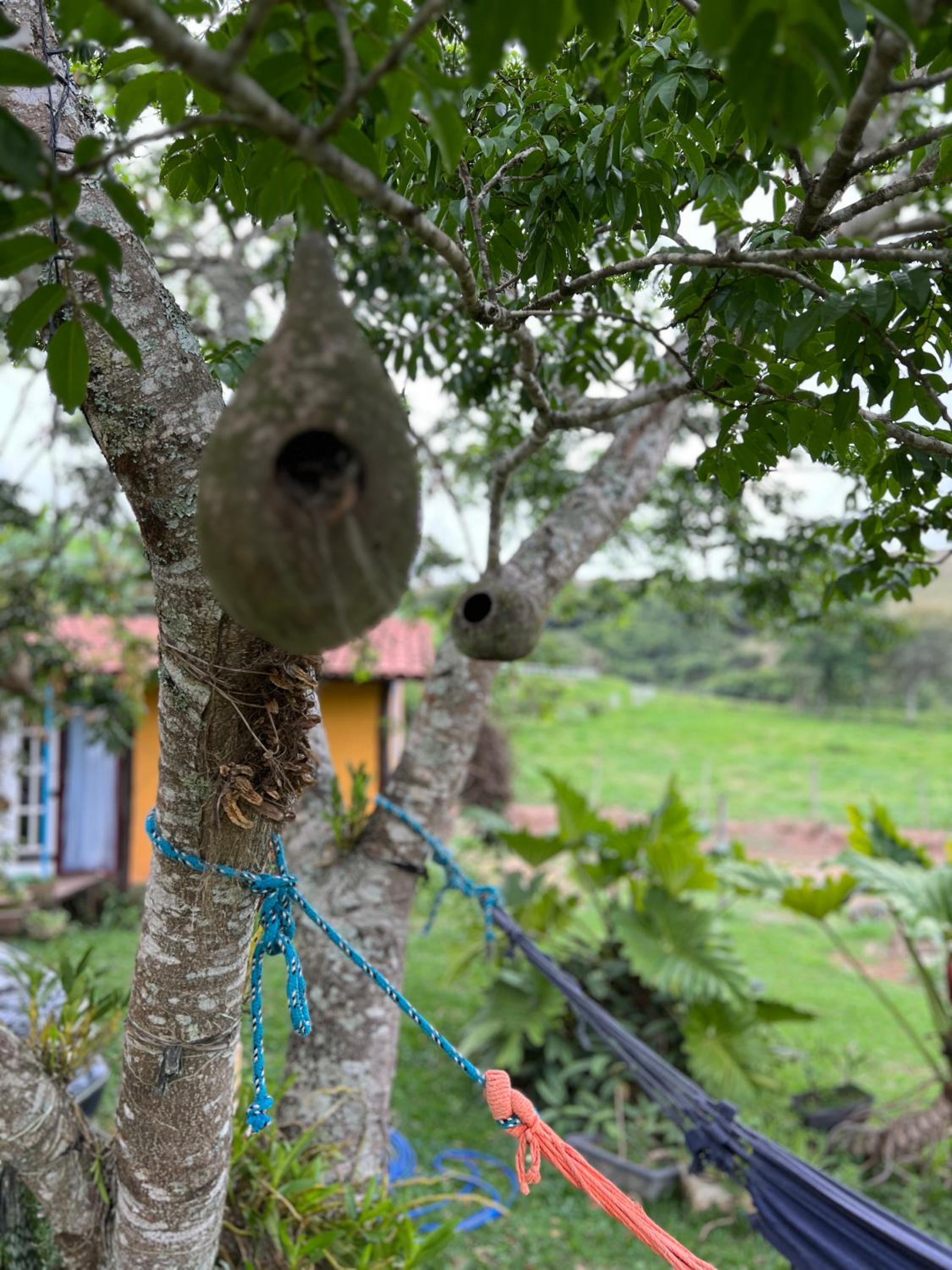 Fazenda do Engenho