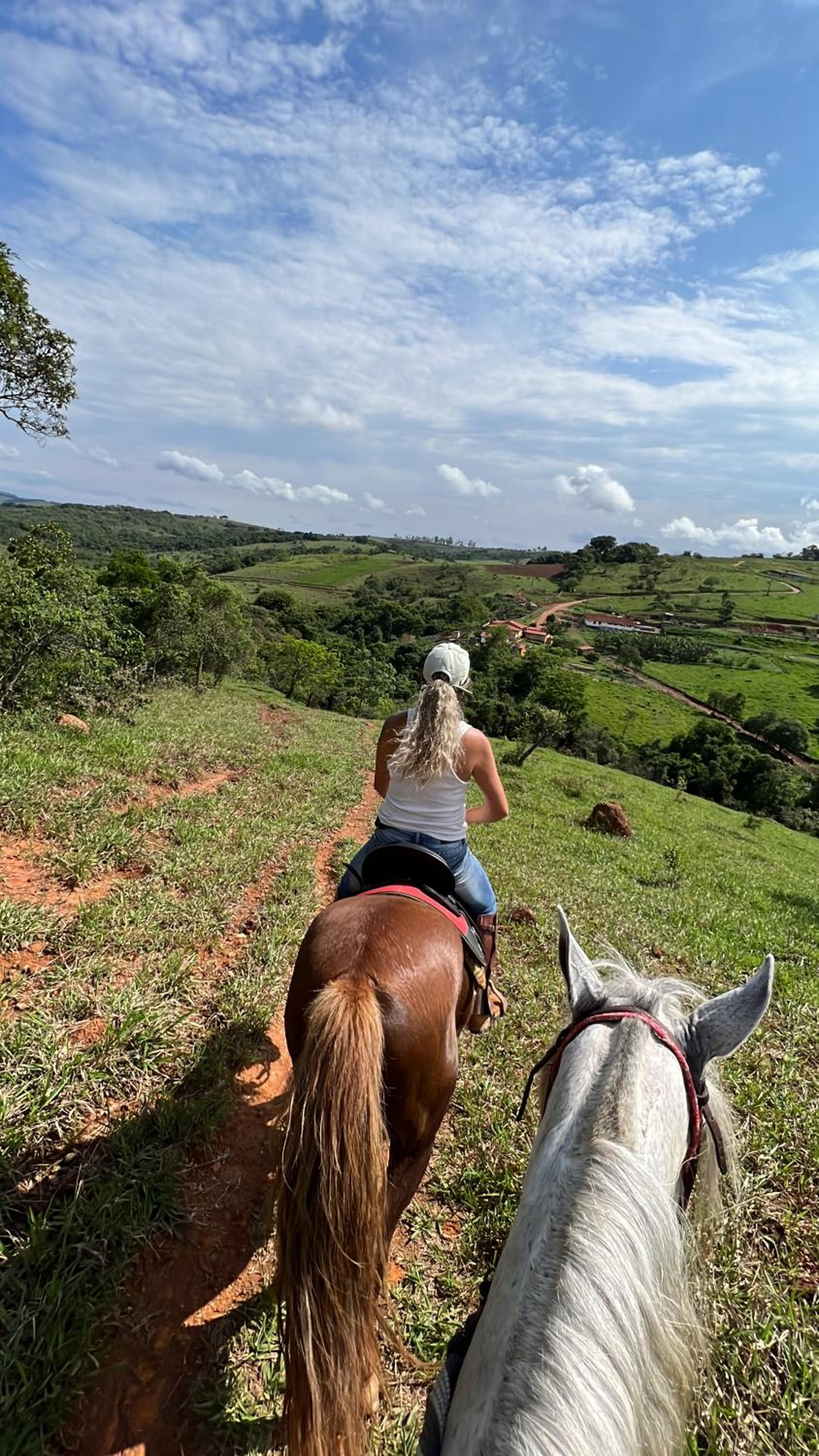 Fazenda do Engenho