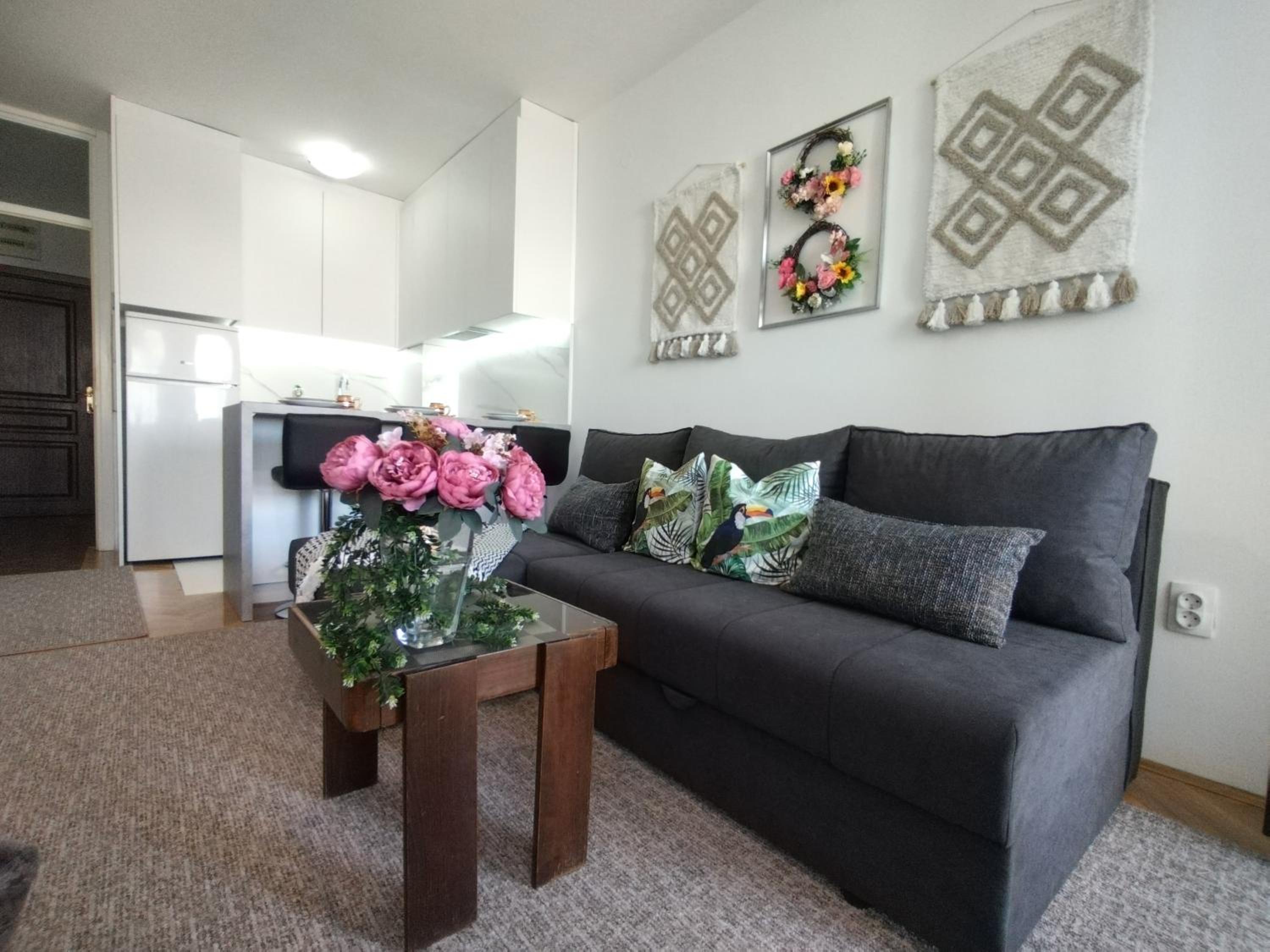 Apartman Vladimir