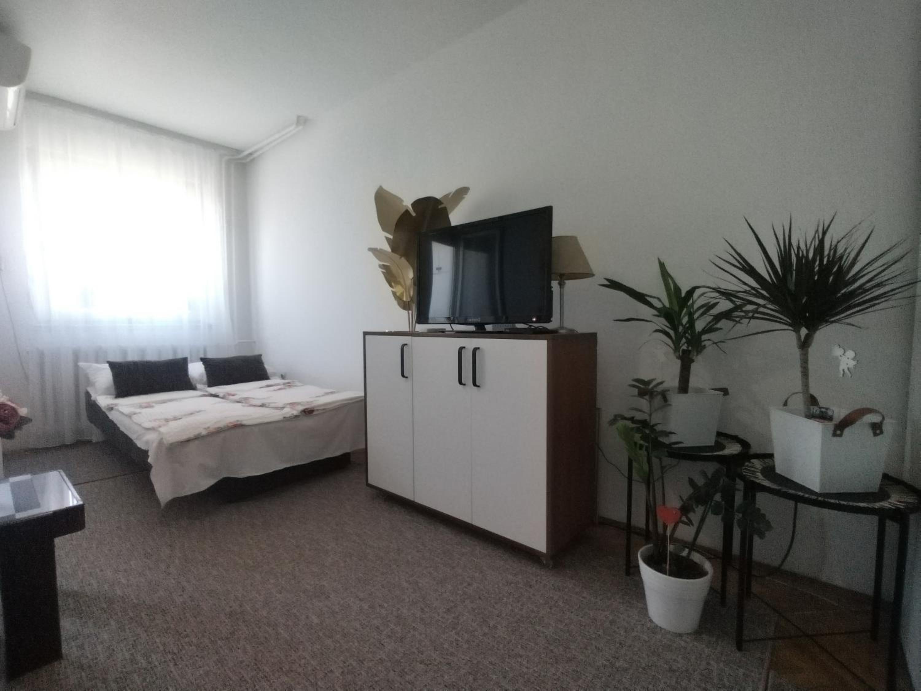 Apartman Vladimir