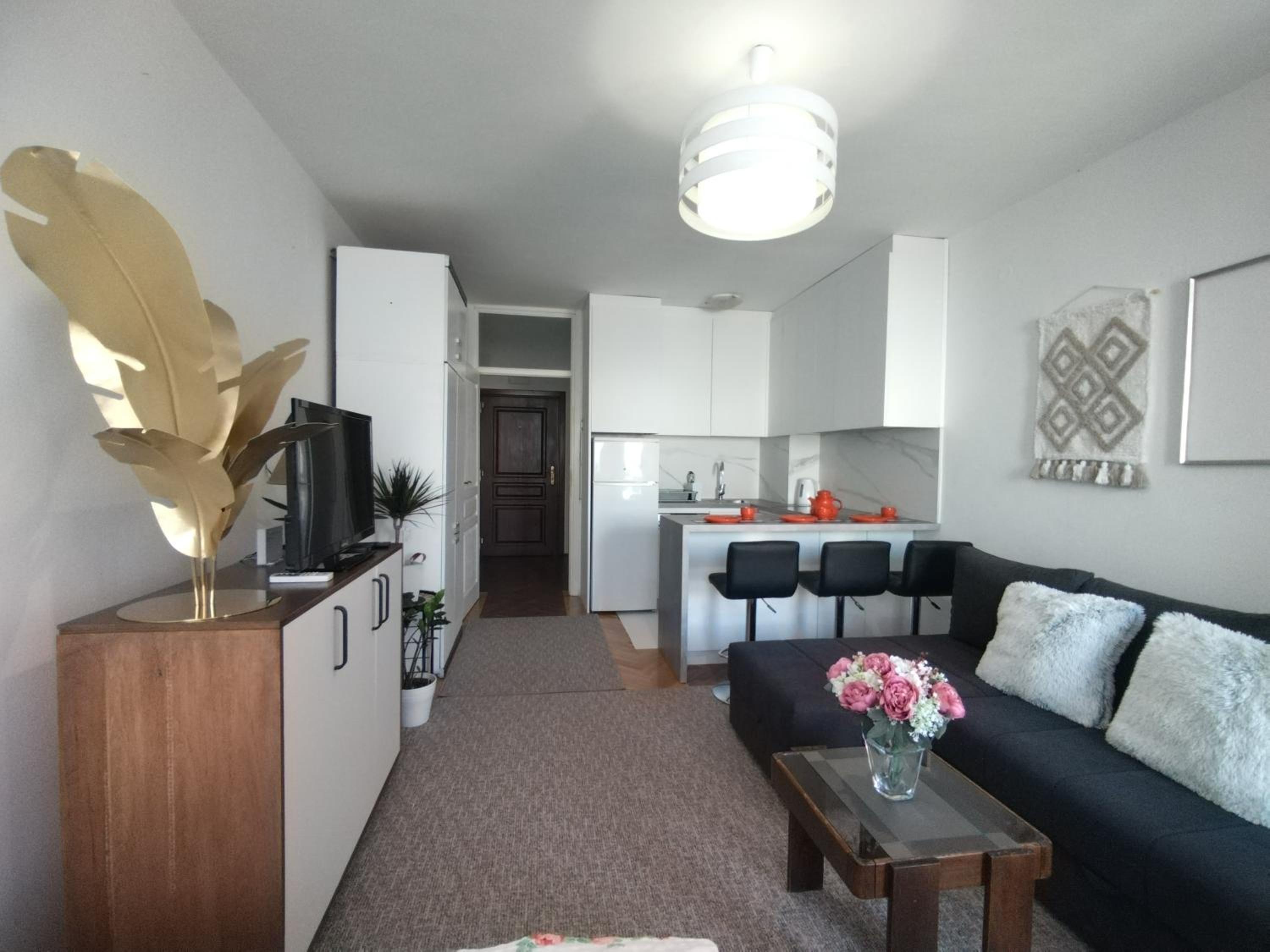 Apartman Vladimir