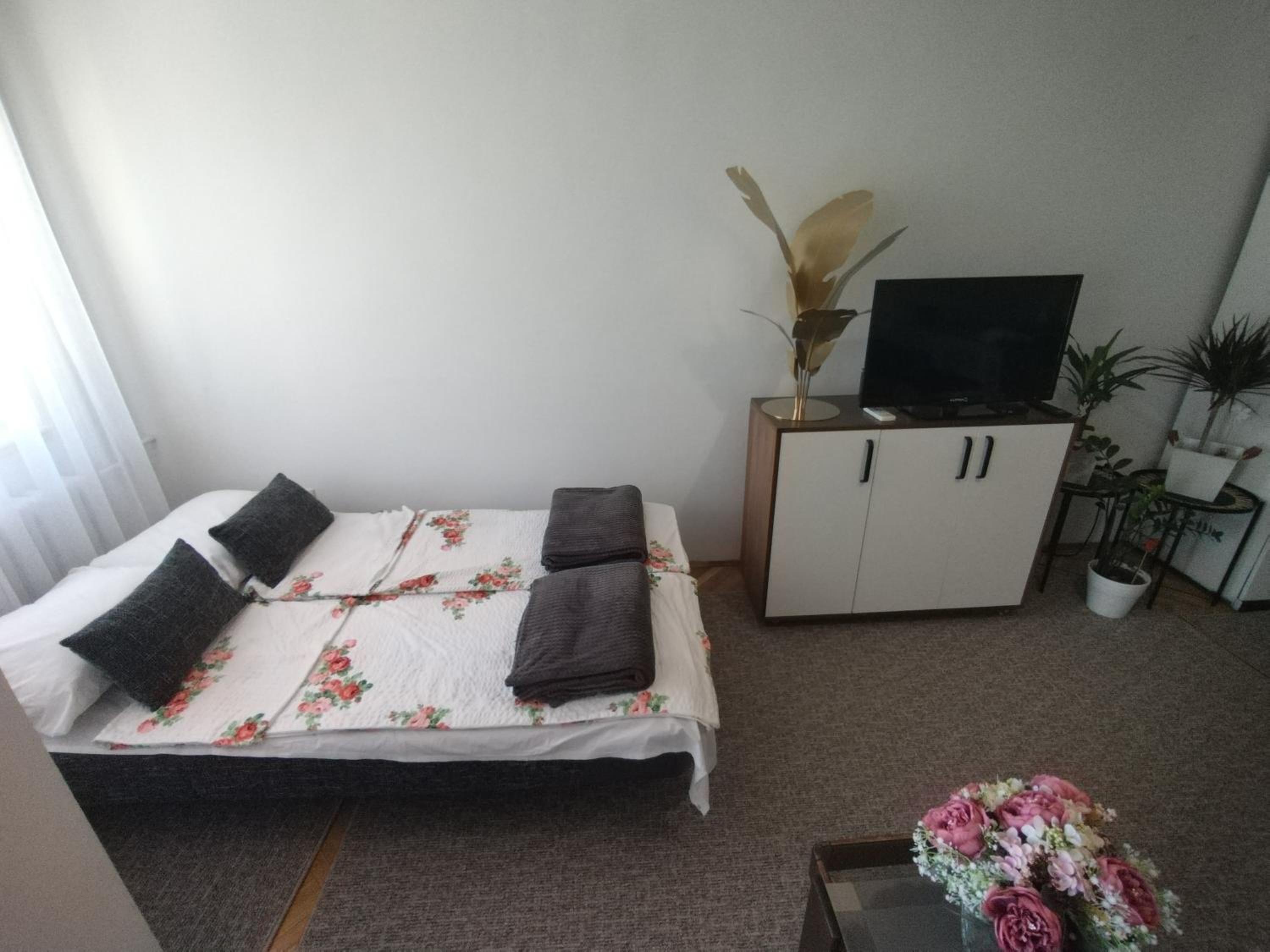 Apartman Vladimir