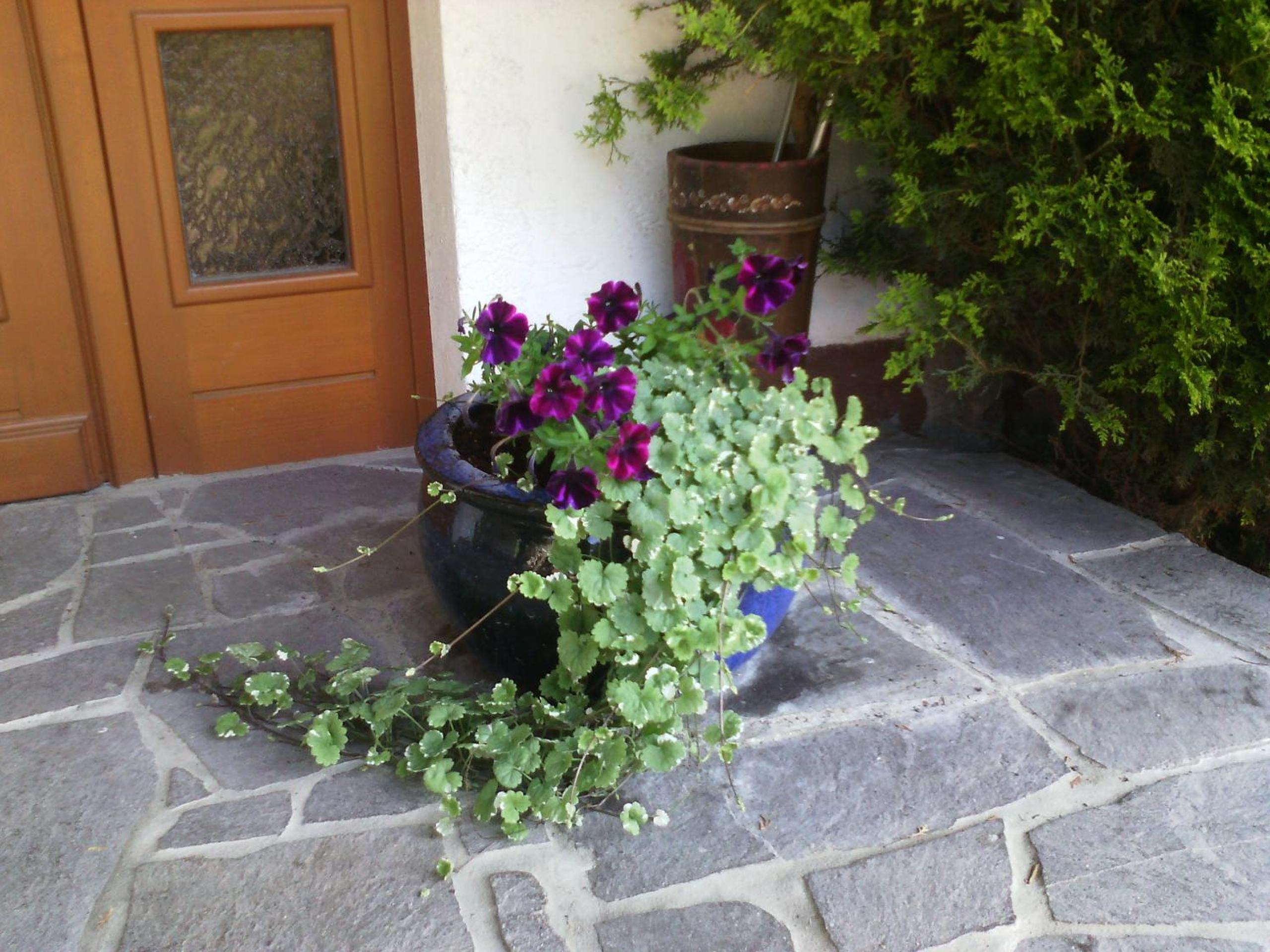 Appartements Zankl