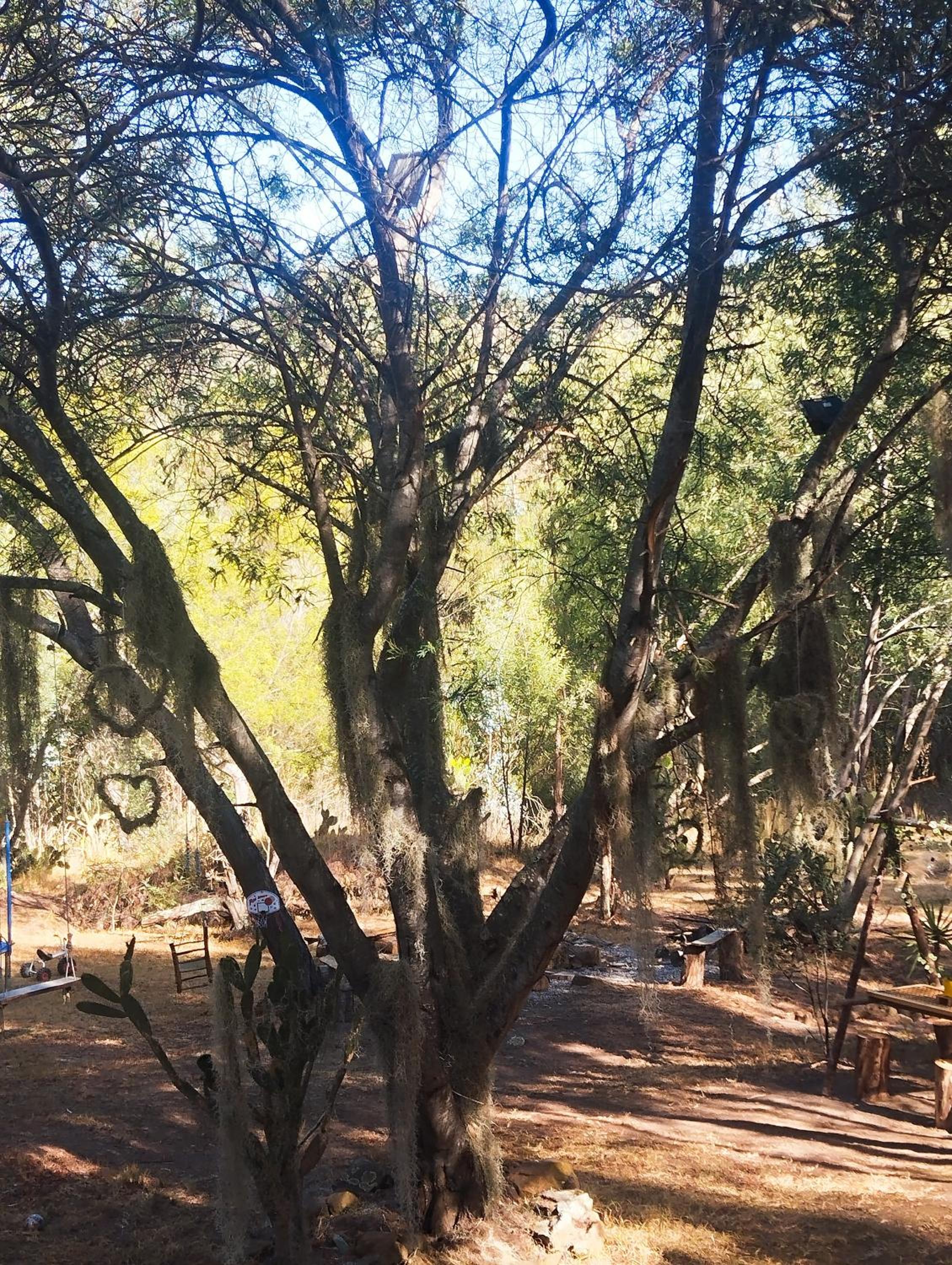 CABAÑA MÁGICA CUCUNUBA