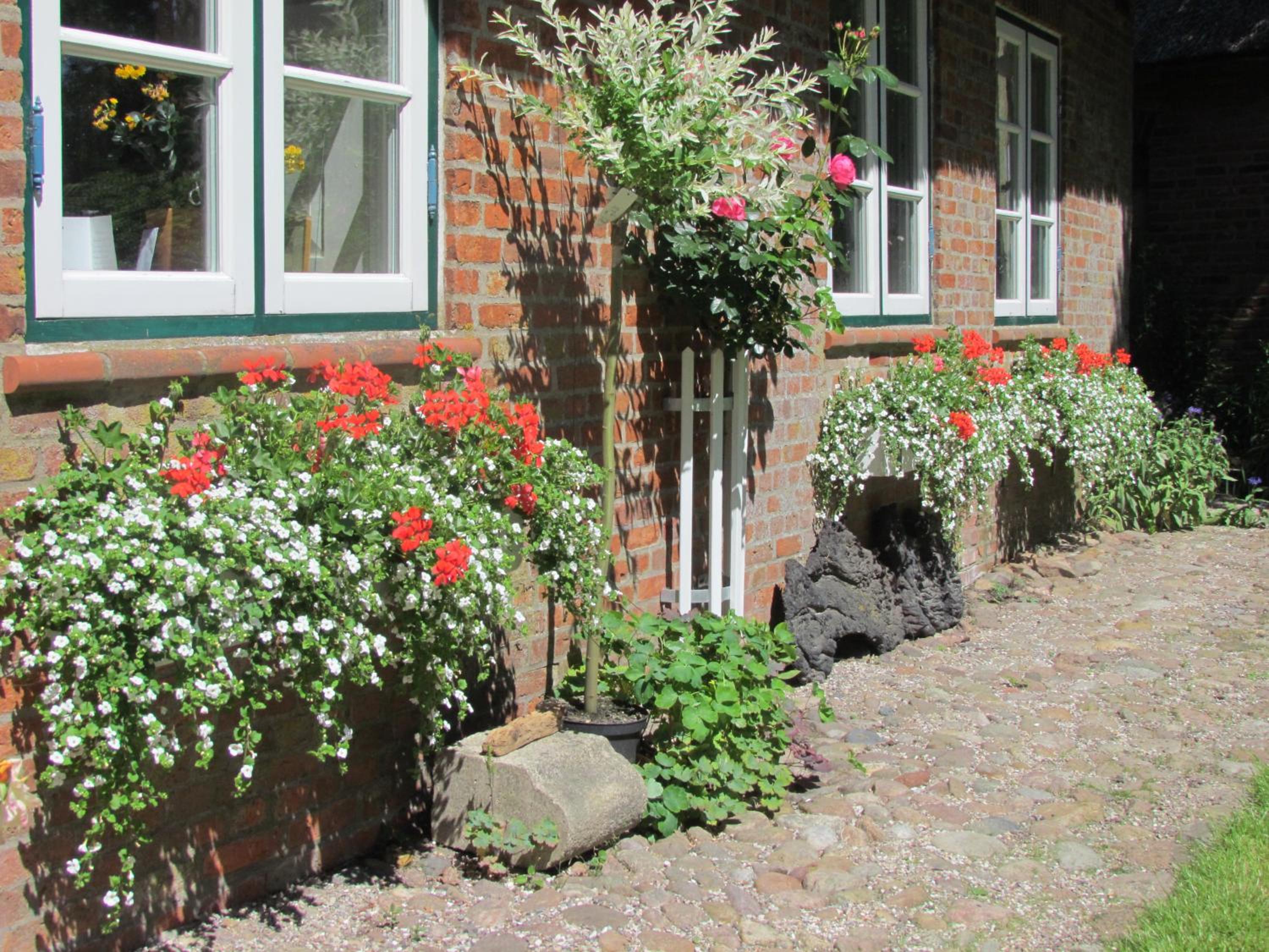 Photo 36