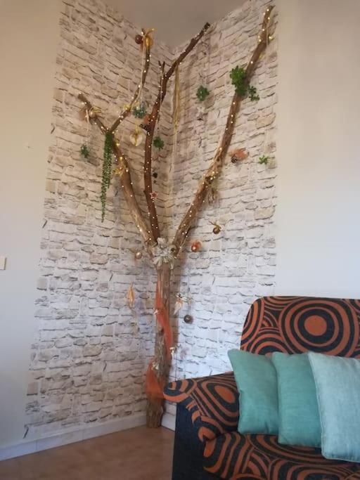 Casa finca Pitusa