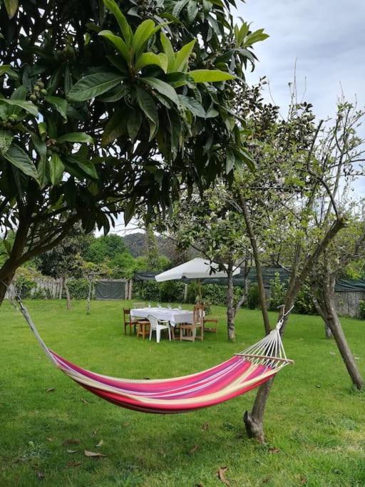 Casa finca Pitusa