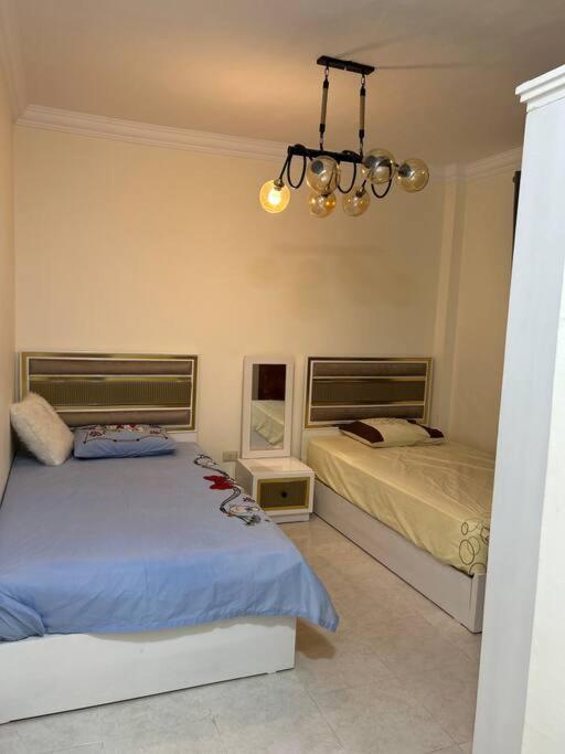 Gardenia city , Nasr city