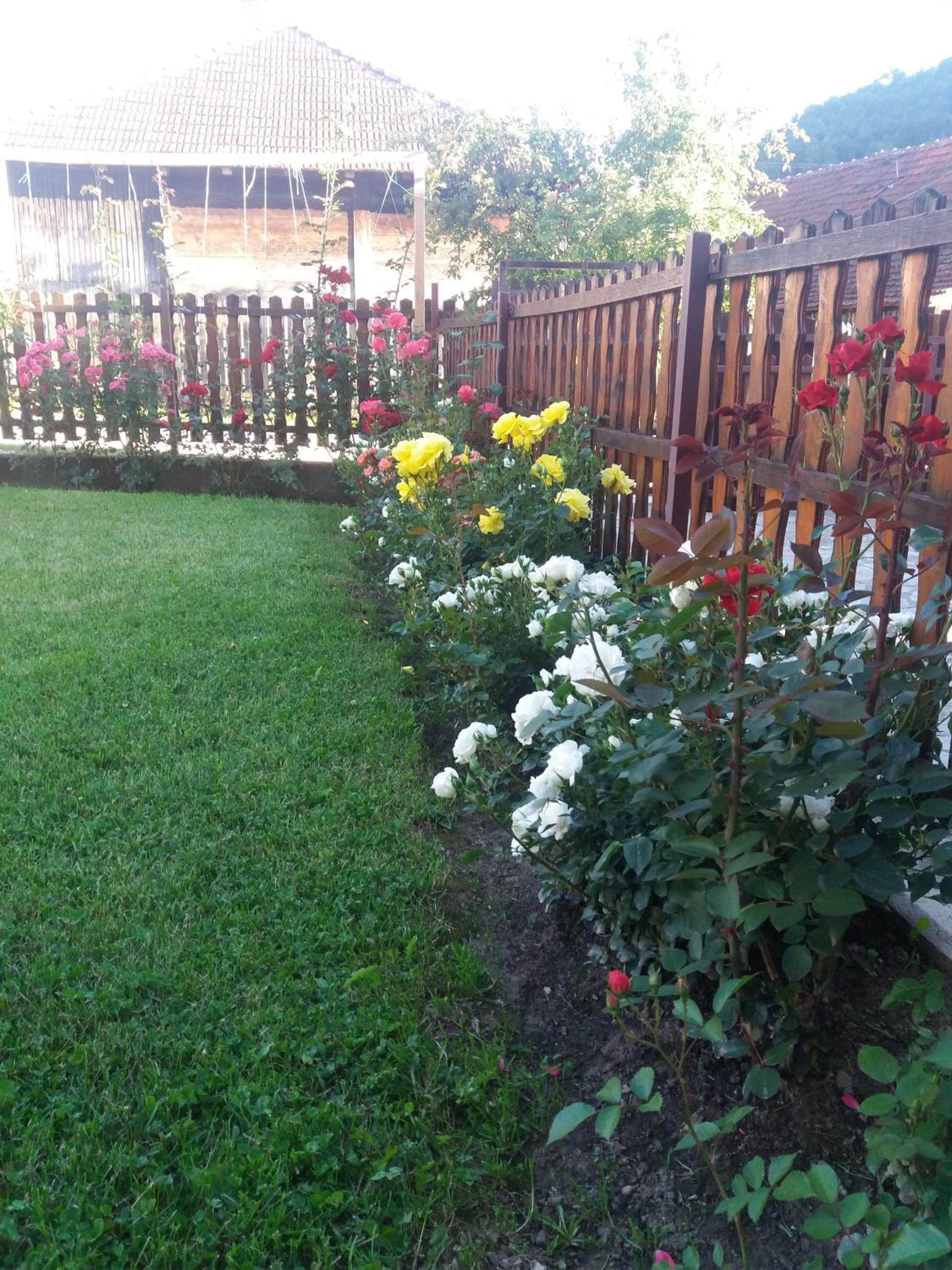 Guesthouse Tadic