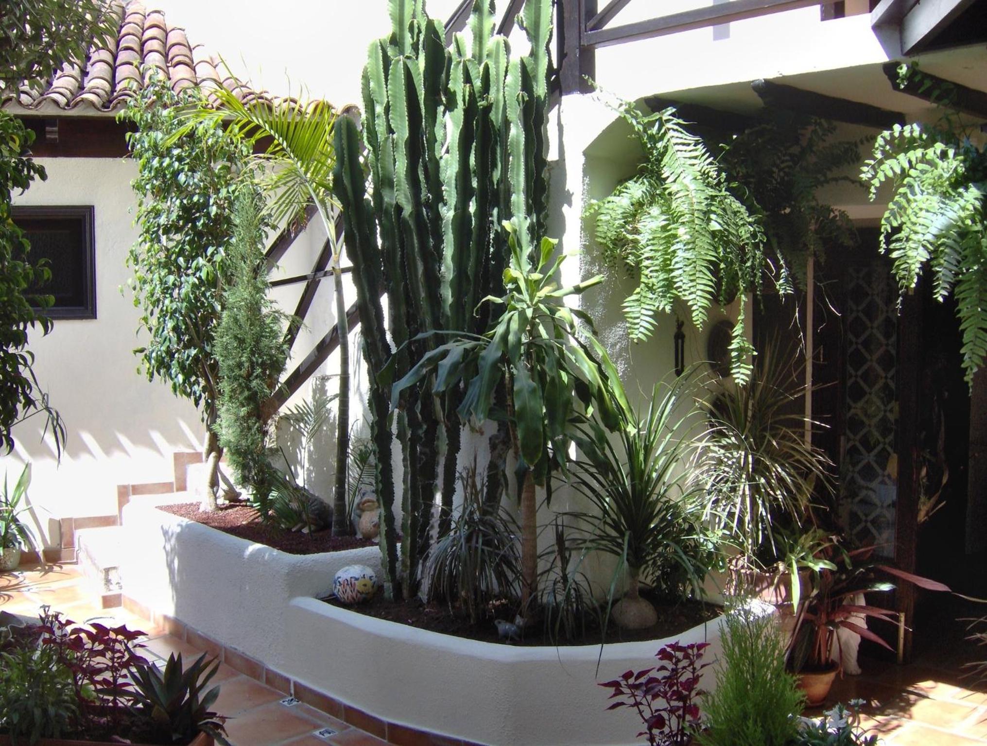 Photo 24