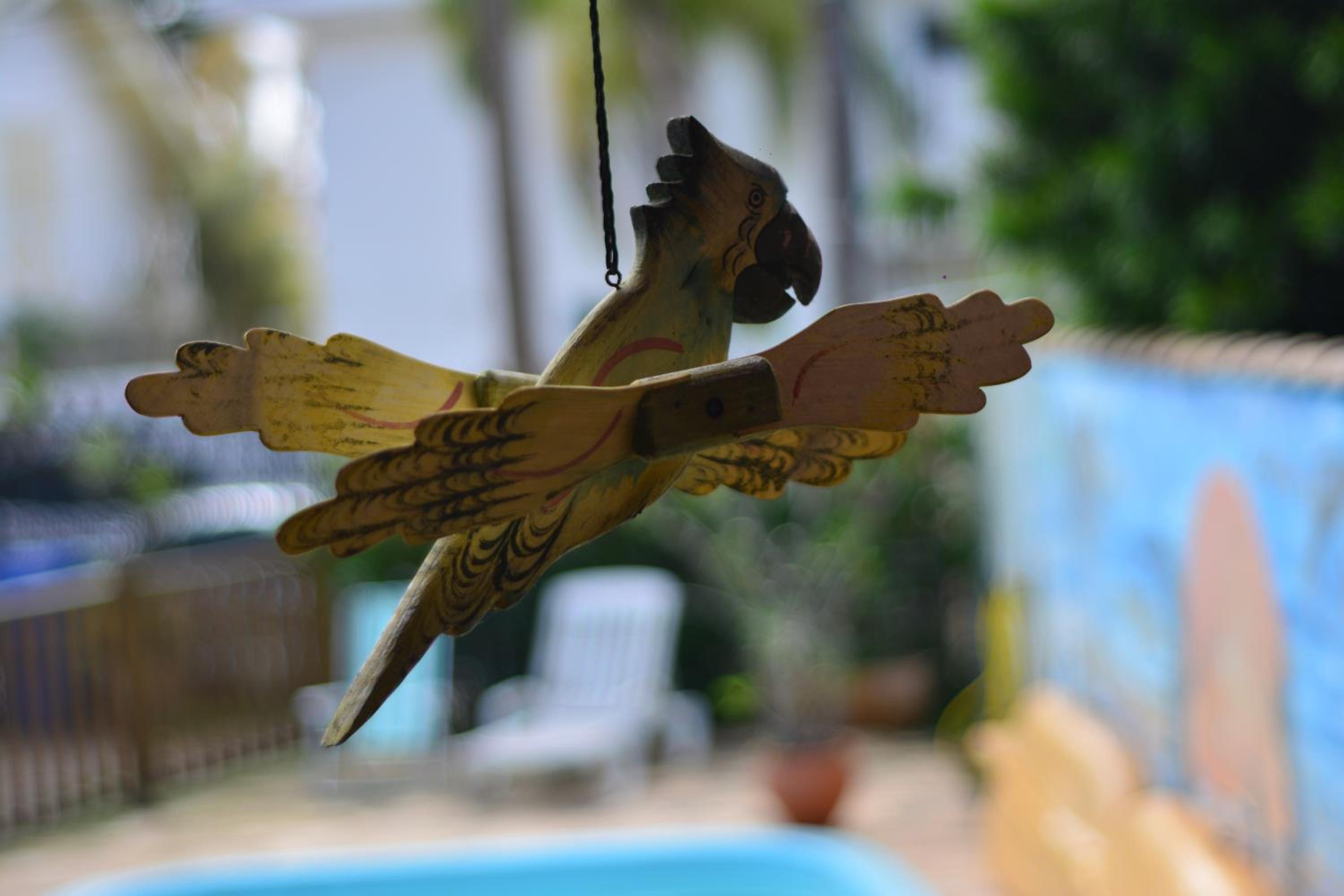 Geckos Hostel